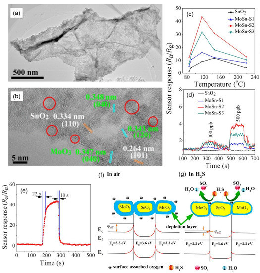 【国内配送】 The Metal with Nanomaterials Two-Dimensional of Combination その他