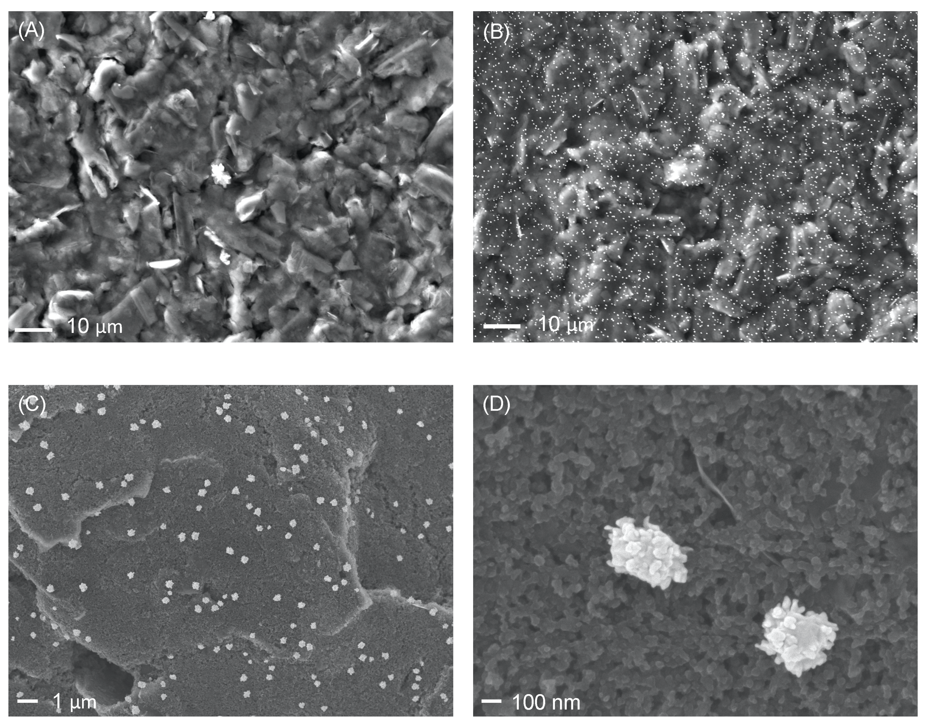 Nanomaterials 12 00987 g004