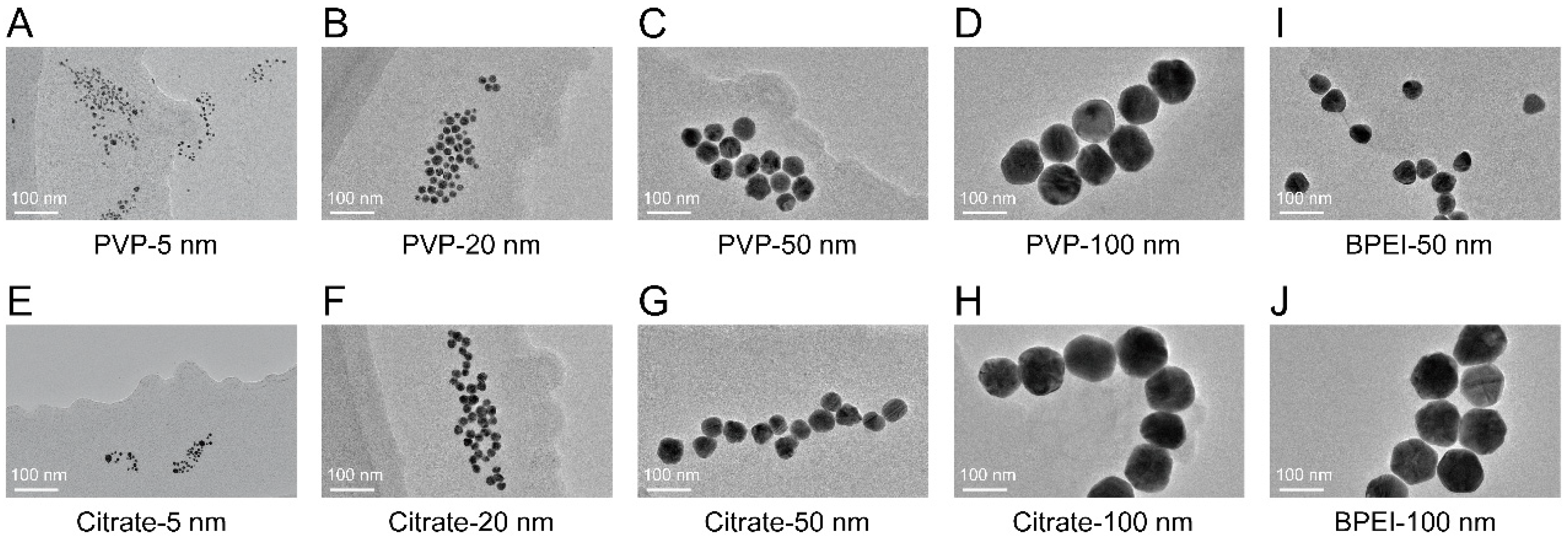 Nanomaterials 12 00990 g001