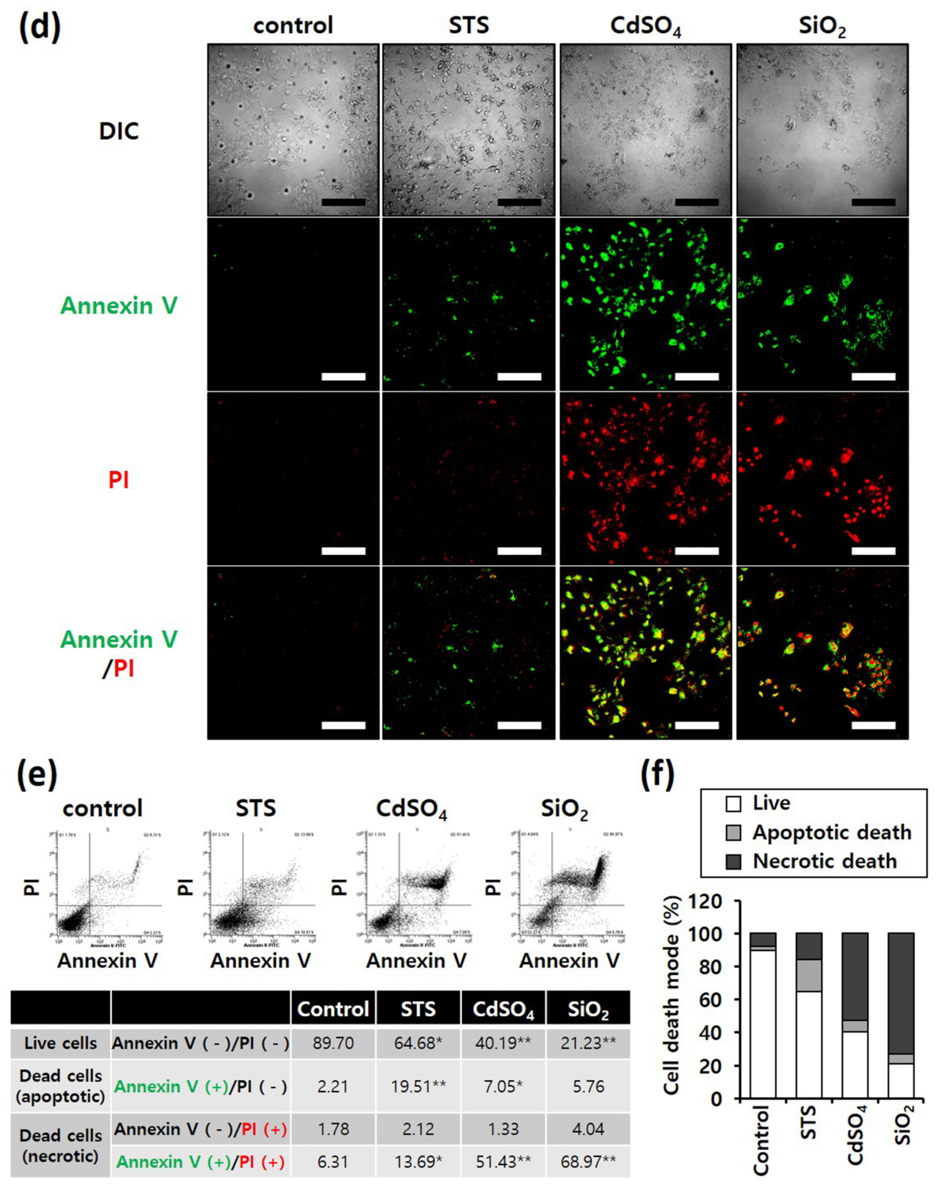 Nanomaterials 12 00993 g003b 550