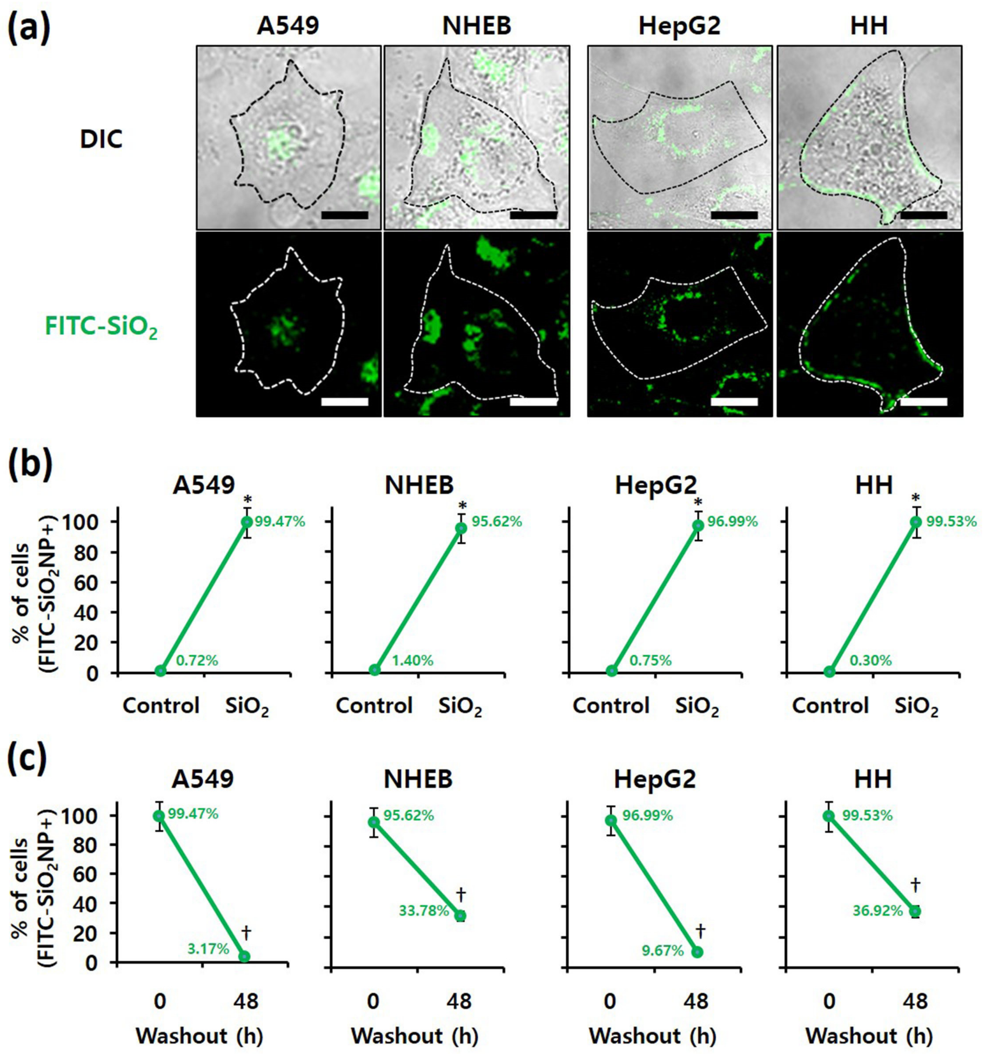 Nanomaterials 12 00993 g005 550