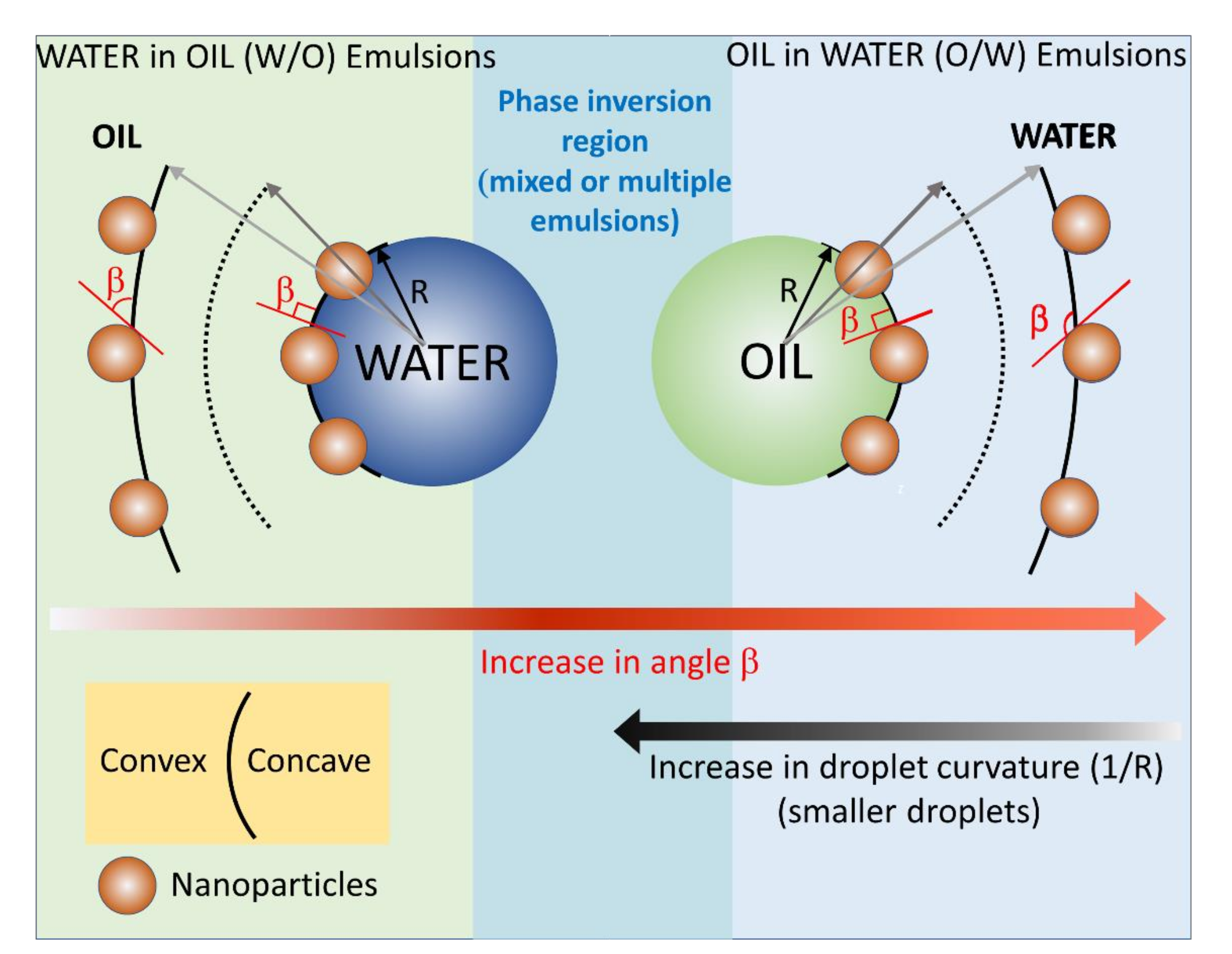 Nanomaterials 12 00995 g006