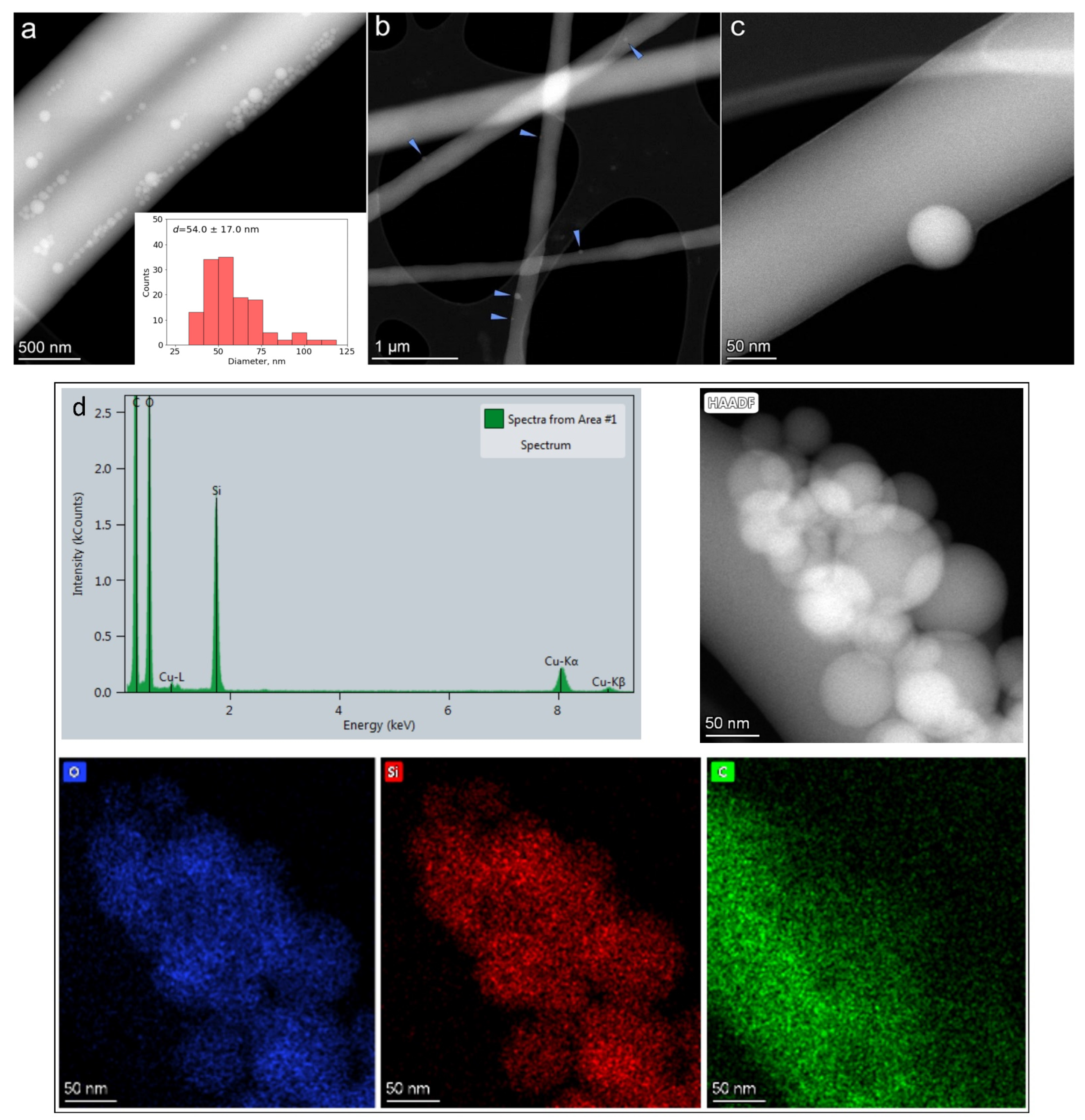 Nanomaterials 12 00998 g005 550