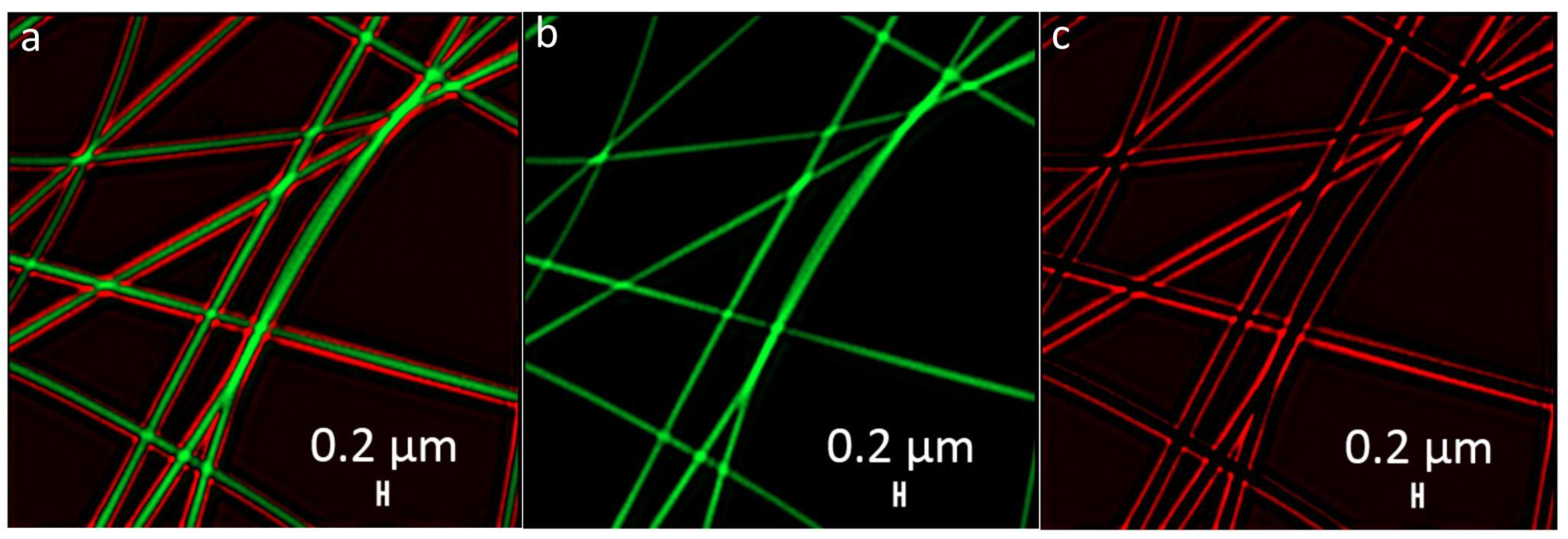 Nanomaterials 12 00998 g006 550
