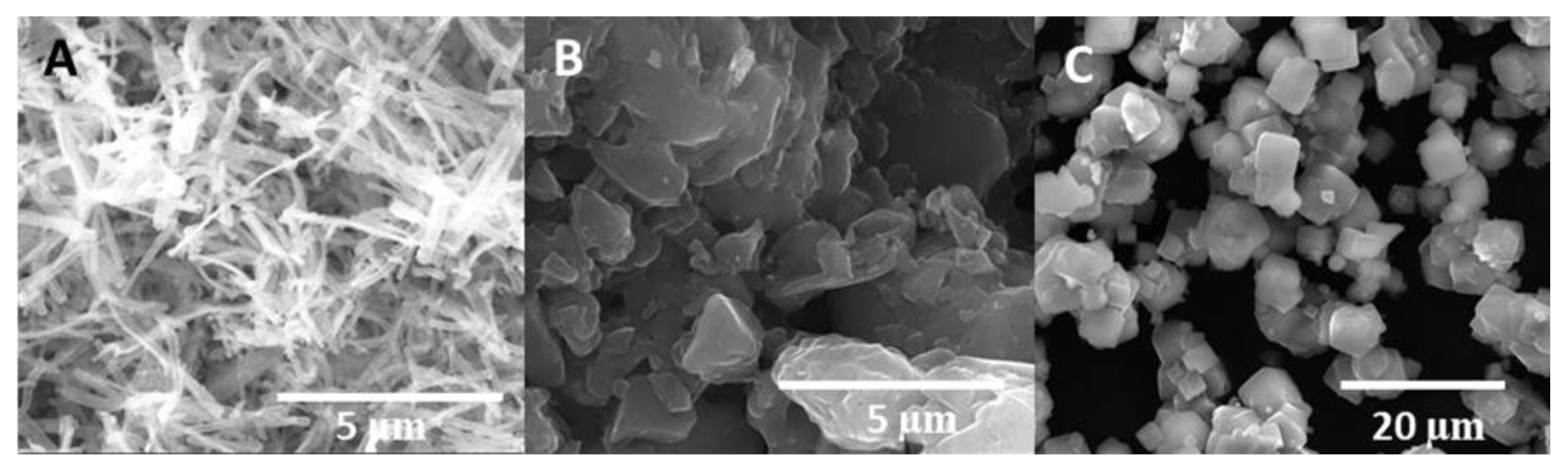 Nanomaterials 12 00999 g004
