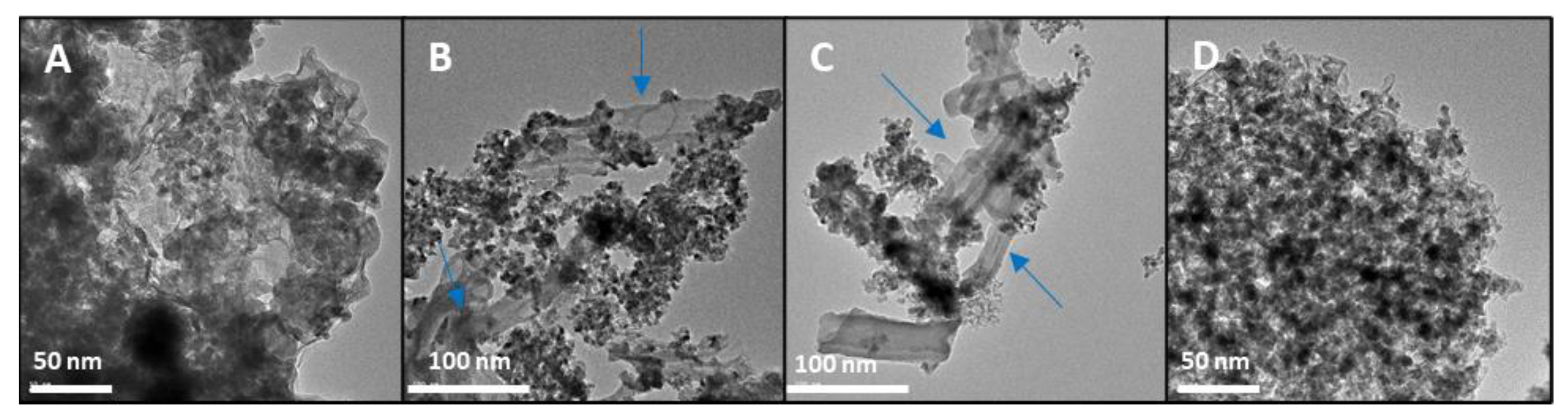Nanomaterials 12 00999 g006