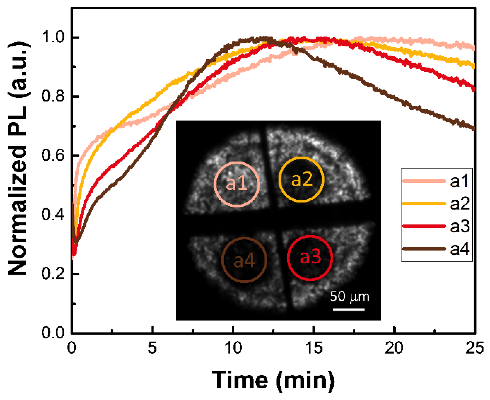 Nanomaterials 12 01002 g005