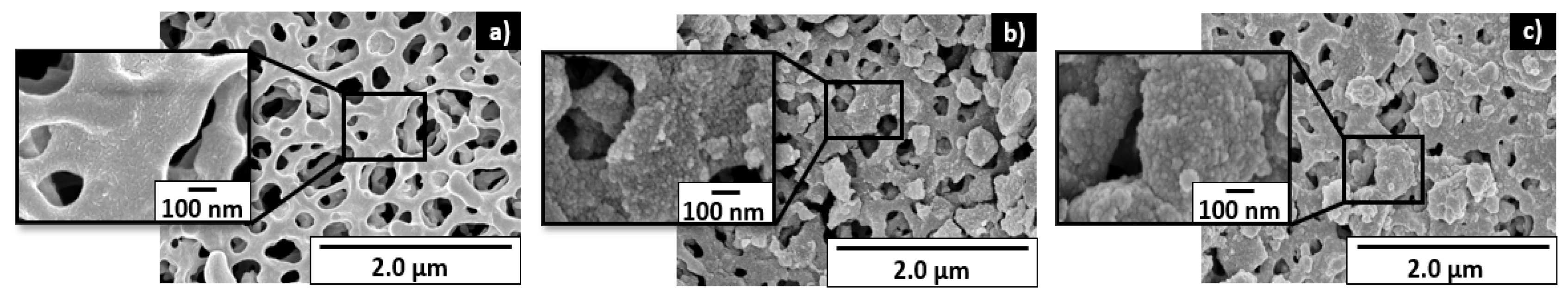 Nanomaterials 12 01005 g008 550