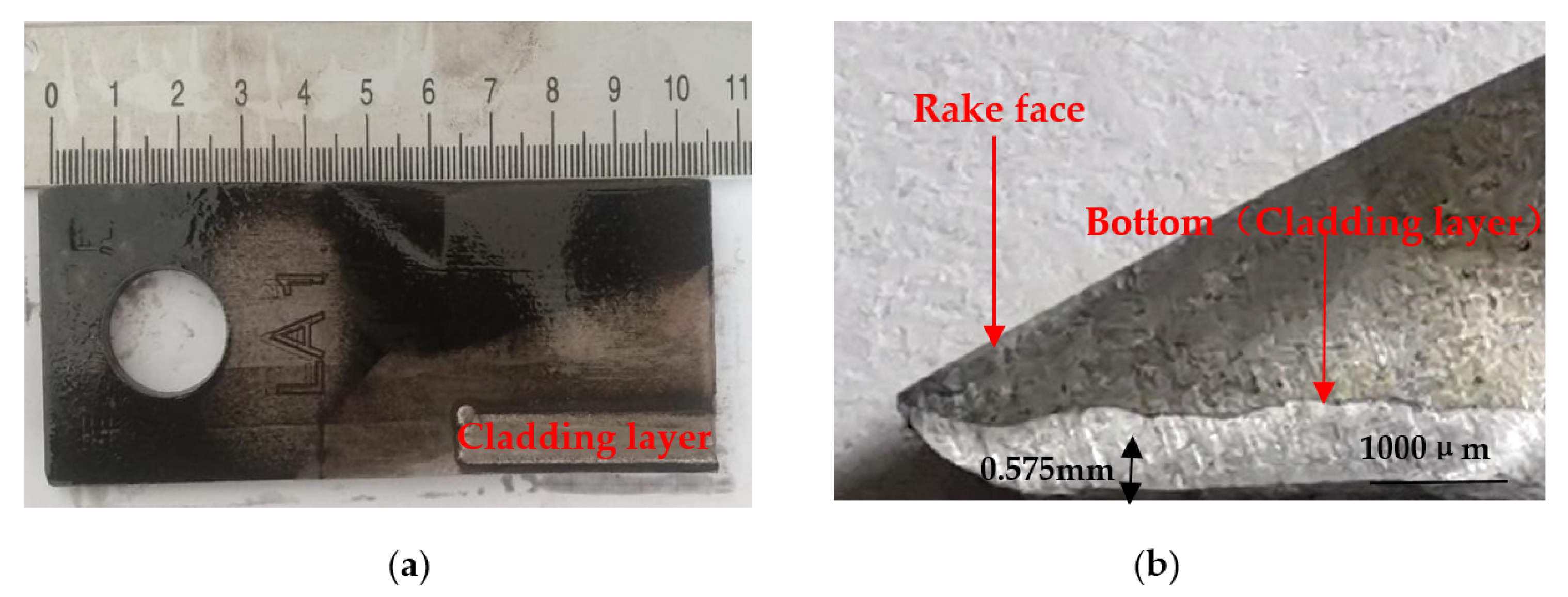 Nanomaterials 12 01013 g001