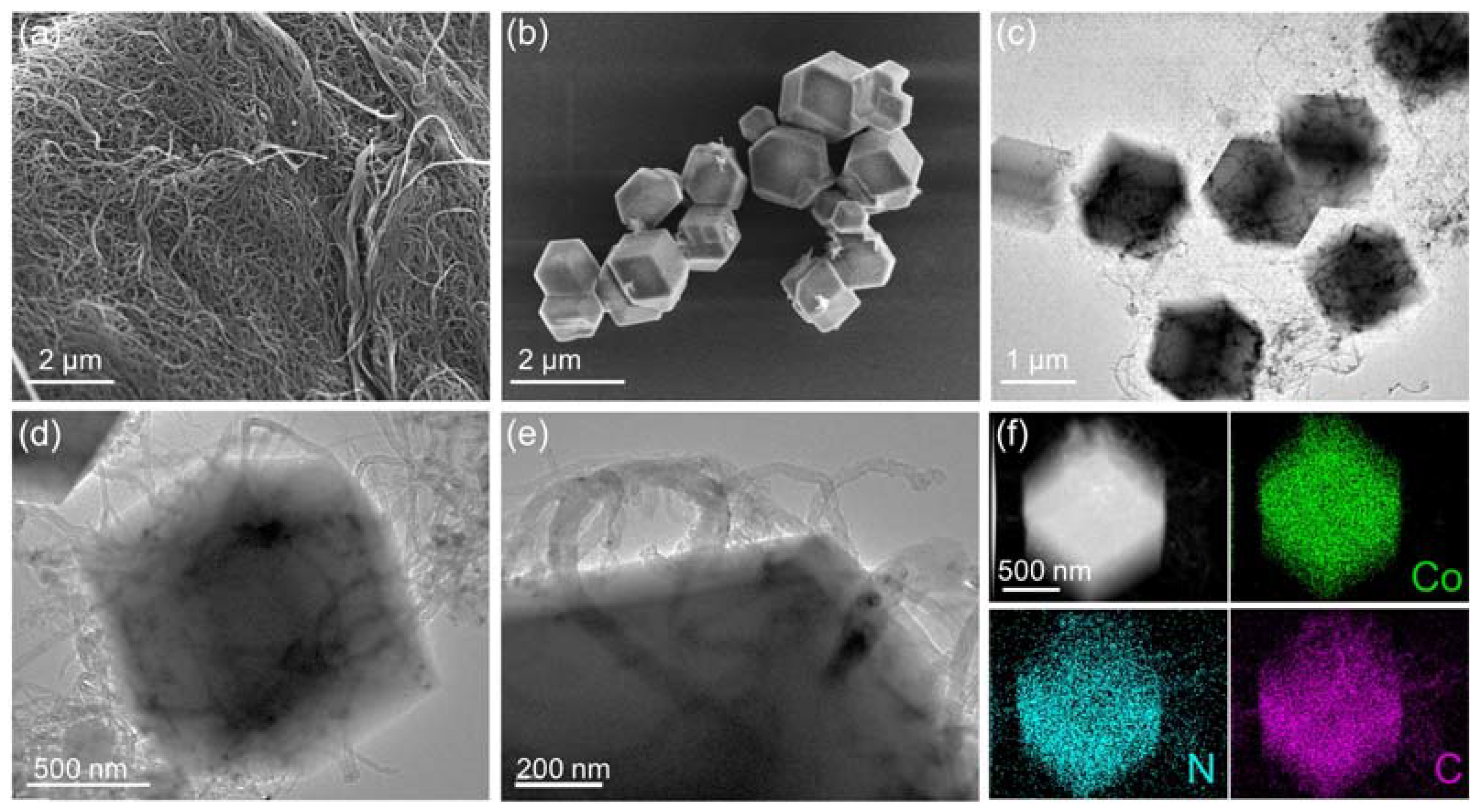 Nanomaterials 12 01015 g003