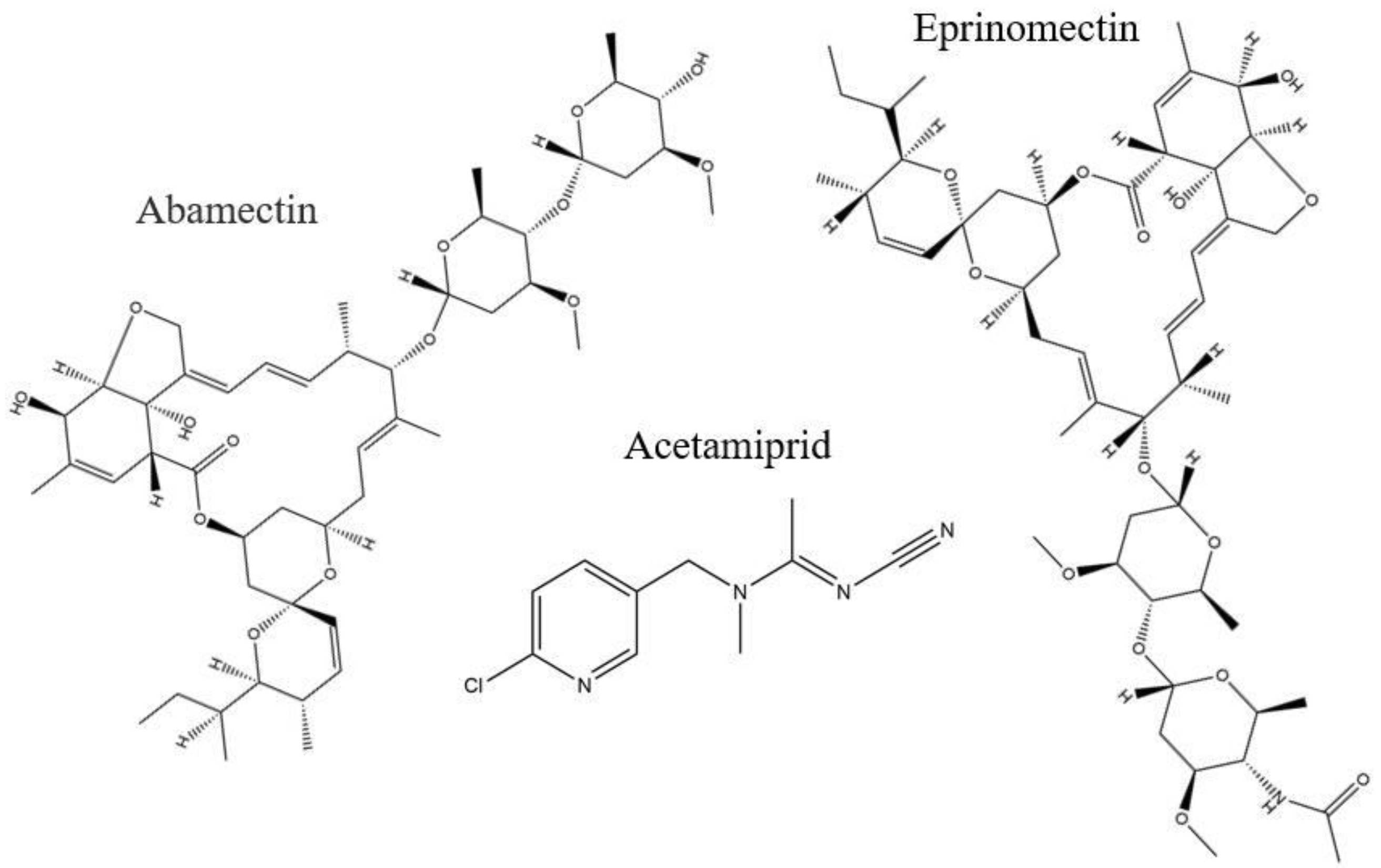 Nanomaterials 12 01017 g001
