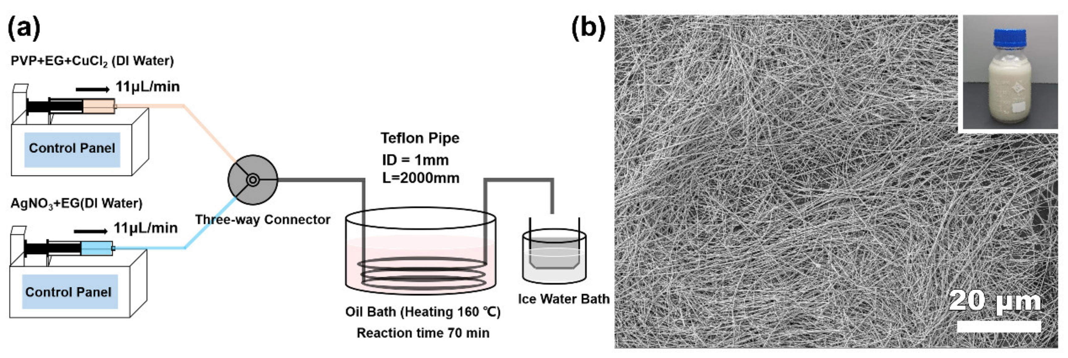 Nanomaterials 12 01018 g001