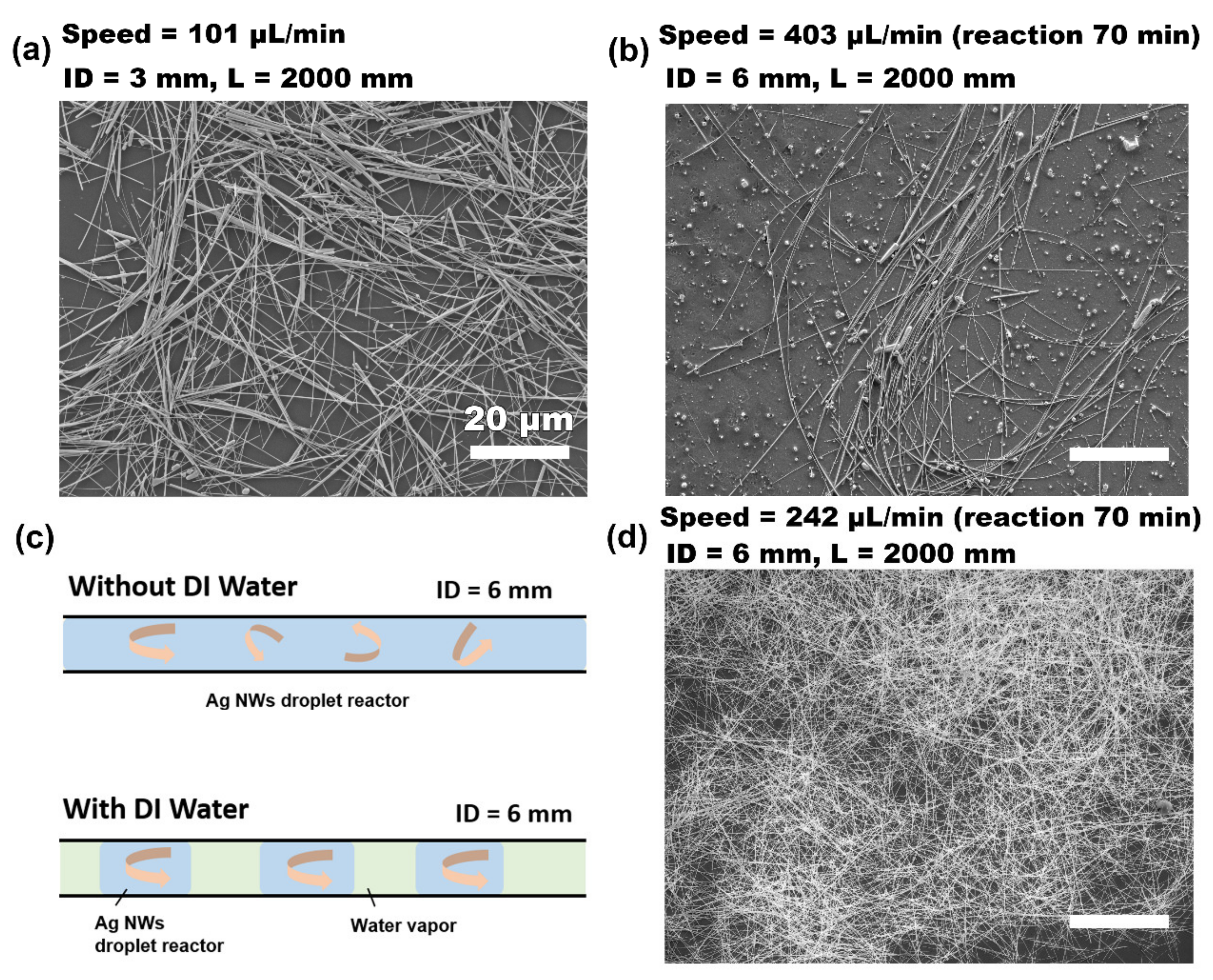 Nanomaterials 12 01018 g002