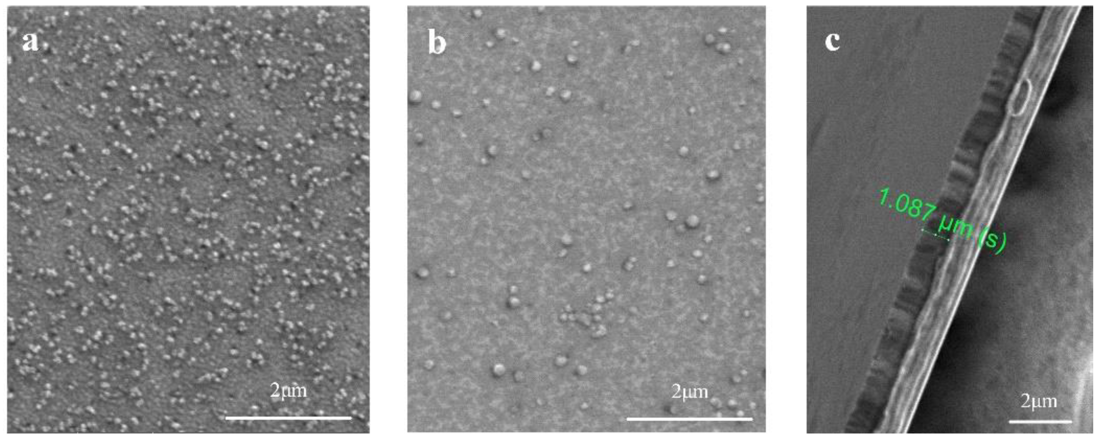 Nanomaterials 12 01022 g001 550