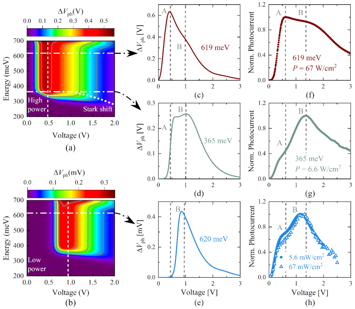 Nanomaterials 12 01024 g003 550