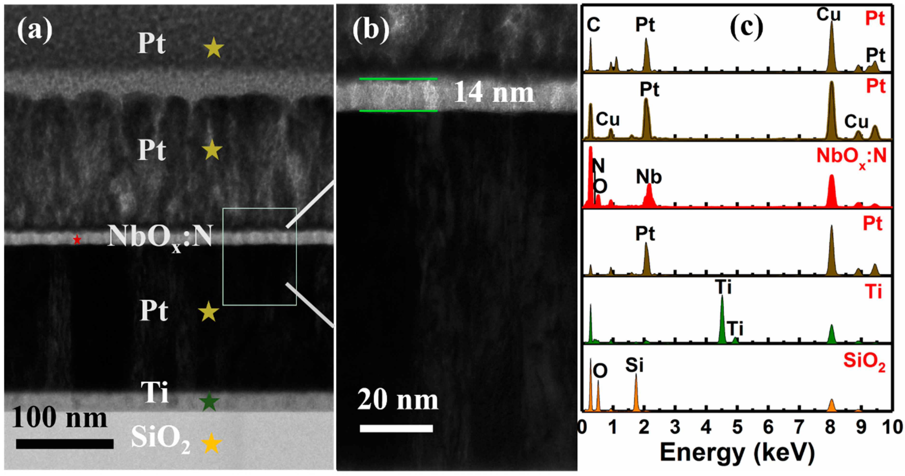 Nanomaterials 12 01029 g001 550