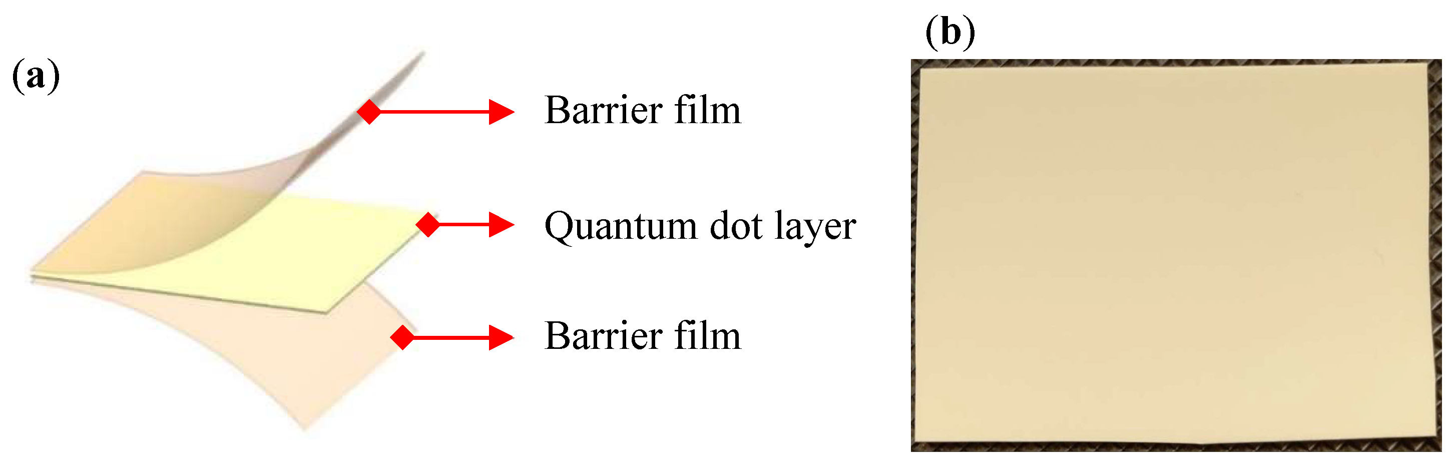 Nanomaterials 12 01032 g005 550