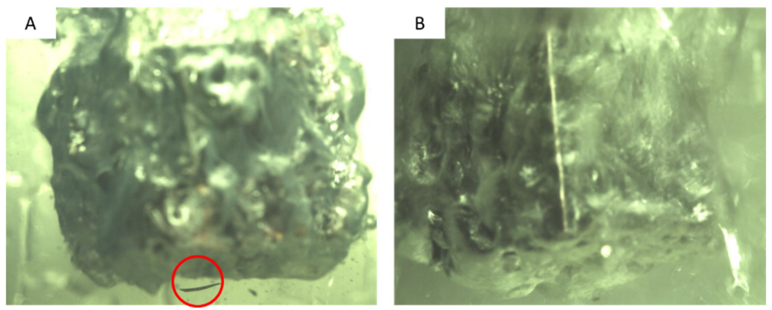 Nanomaterials 12 01033 g009 550
