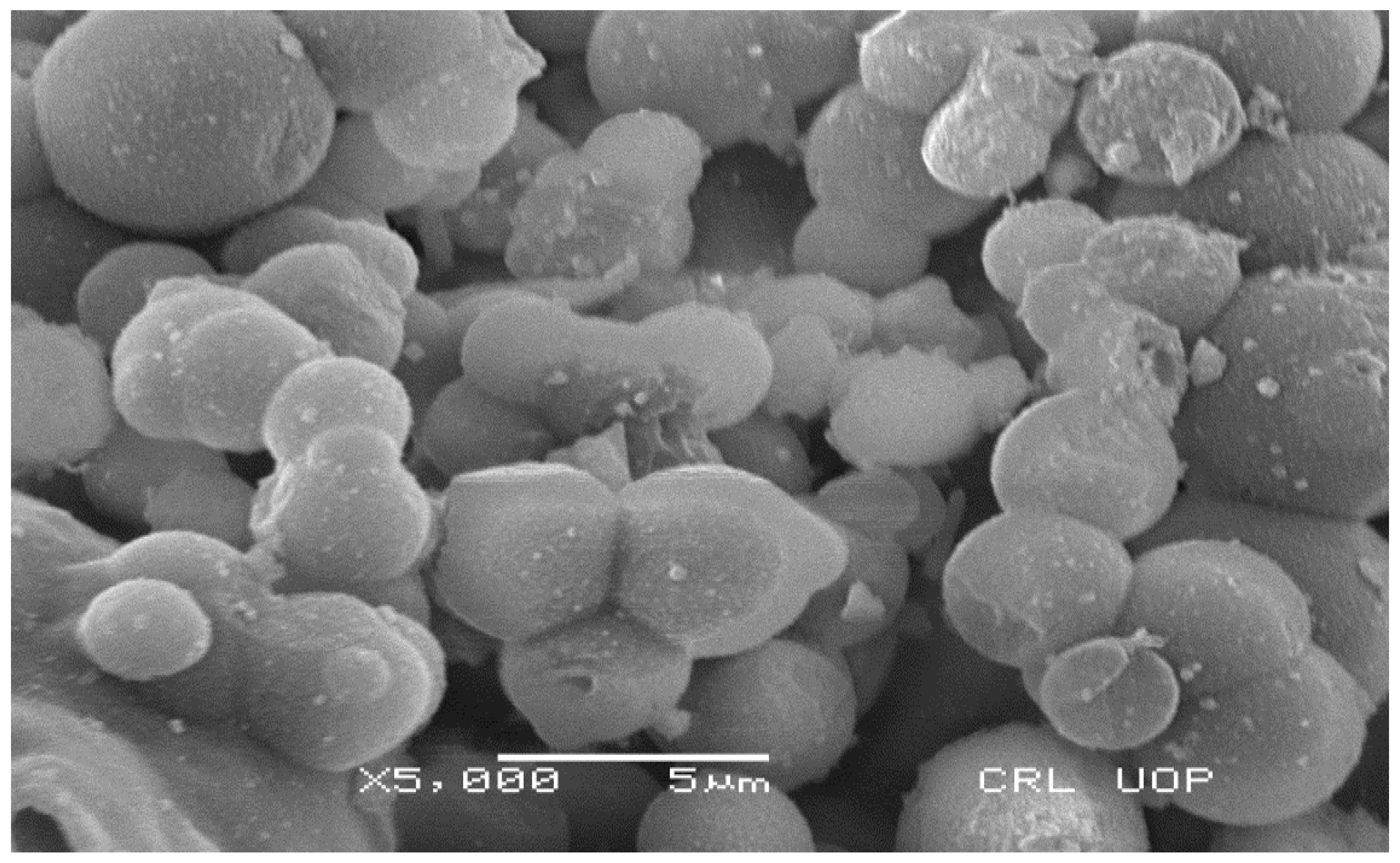 Nanomaterials 12 01035 g004 Nanomaterials 12 01035 g004