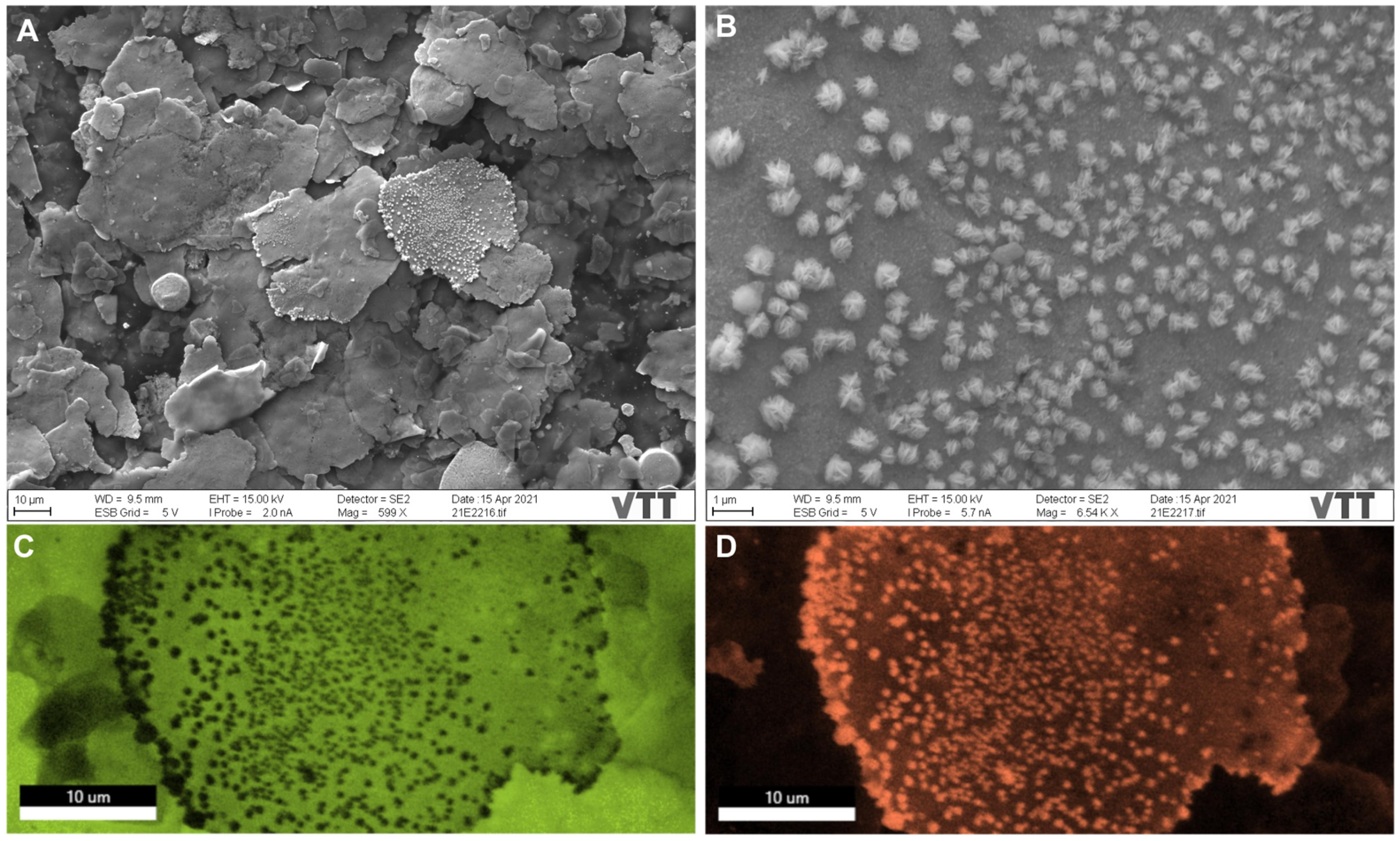Nanomaterials 12 01037 g002