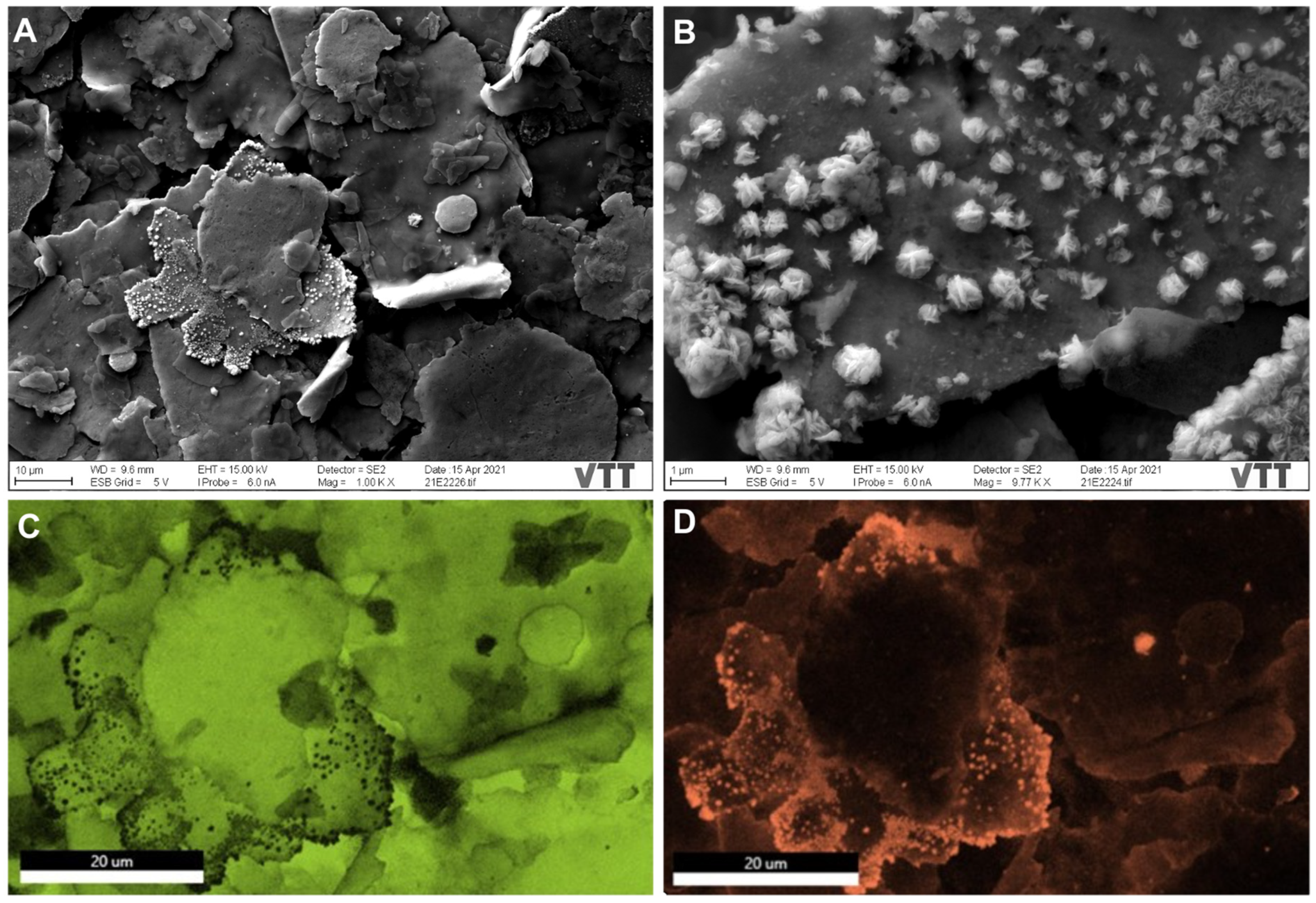 Nanomaterials 12 01037 g003