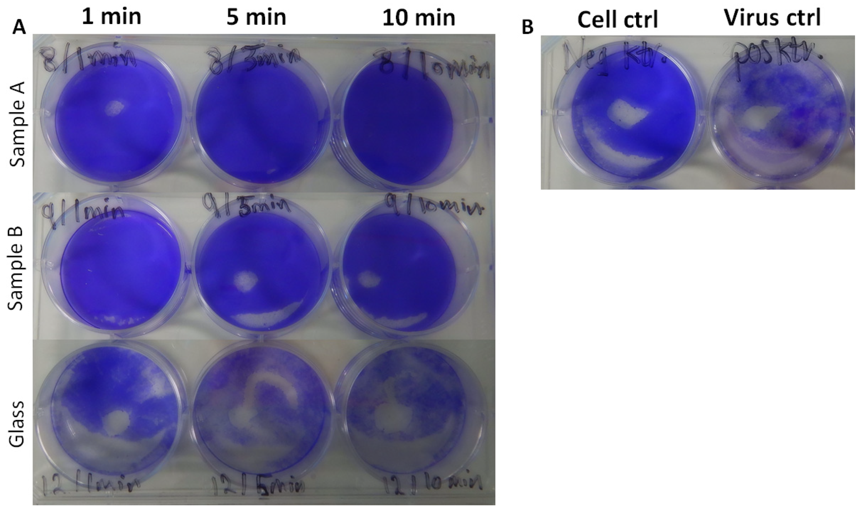 Nanomaterials 12 01037 g006