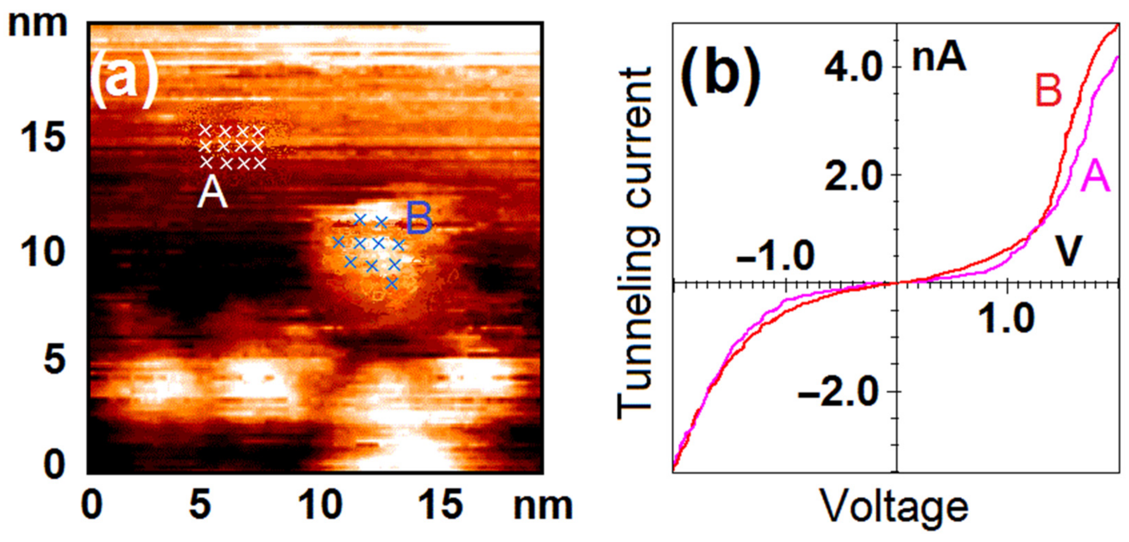 Nanomaterials 12 01038 g002 550