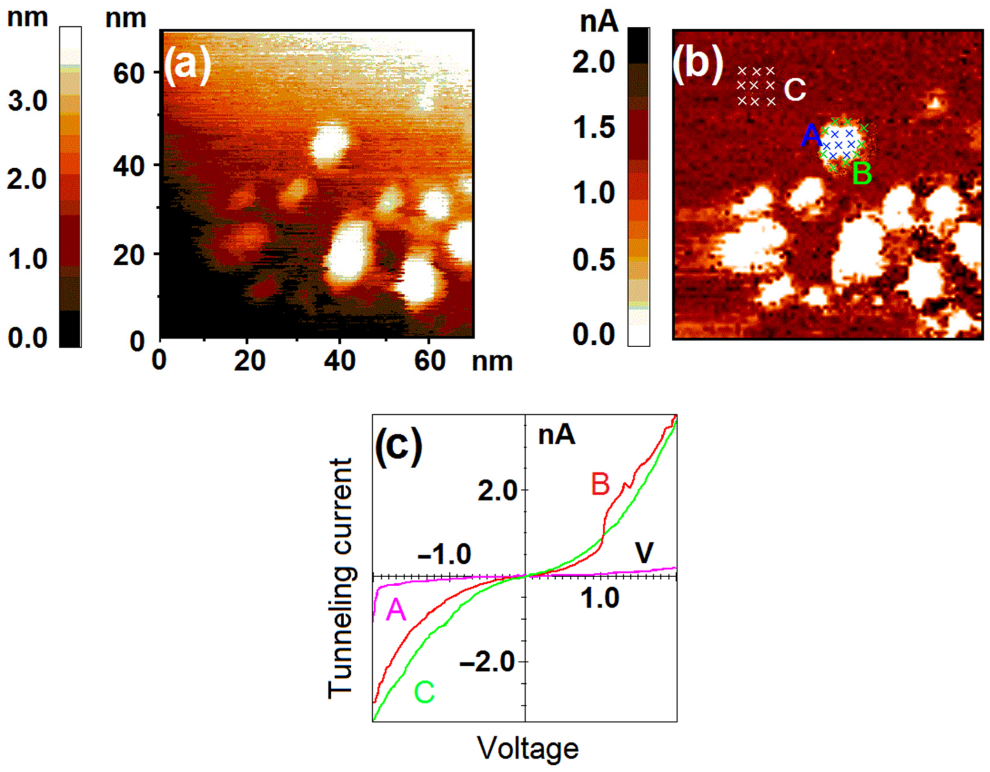 Nanomaterials 12 01038 g003 550