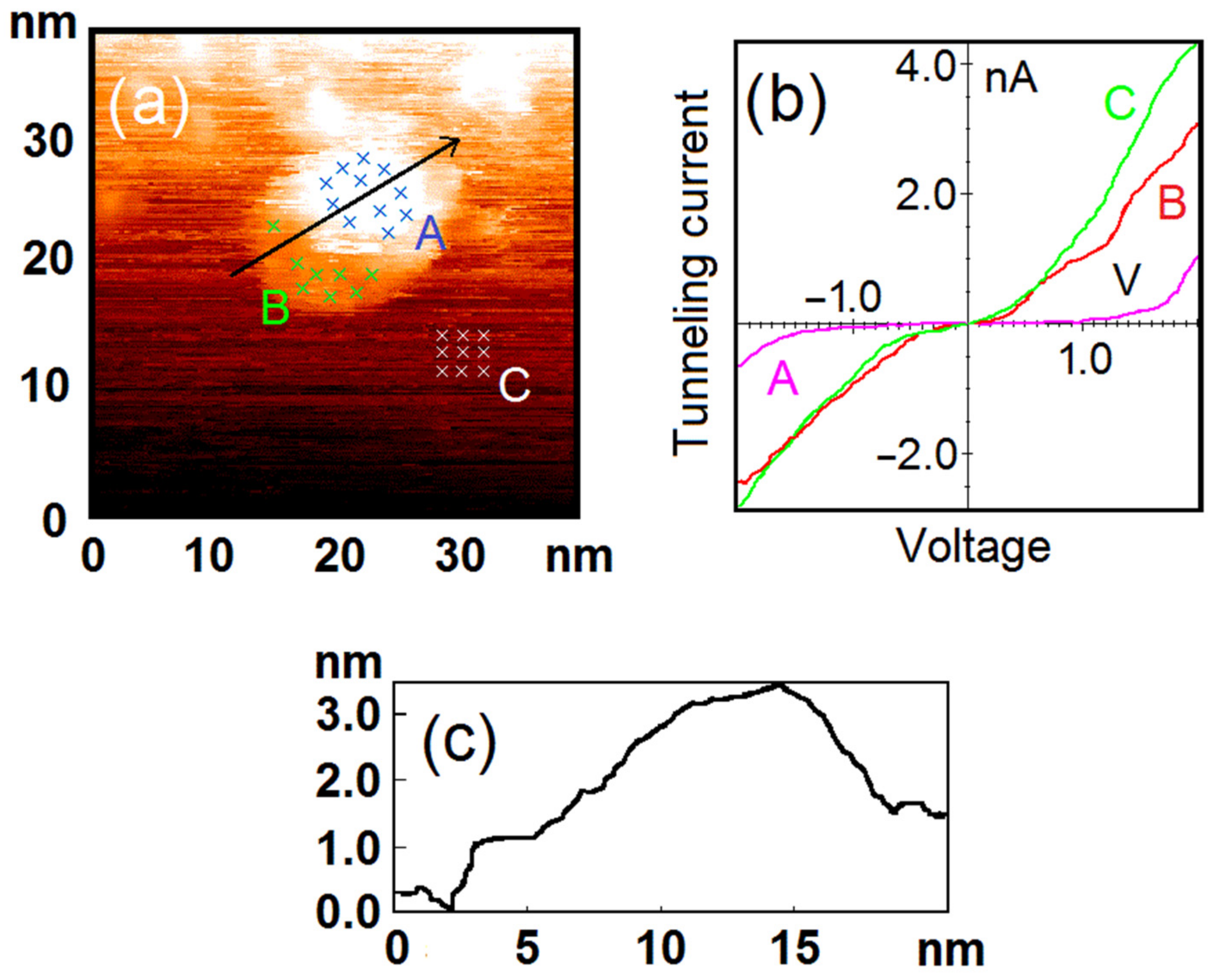 Nanomaterials 12 01038 g004 550