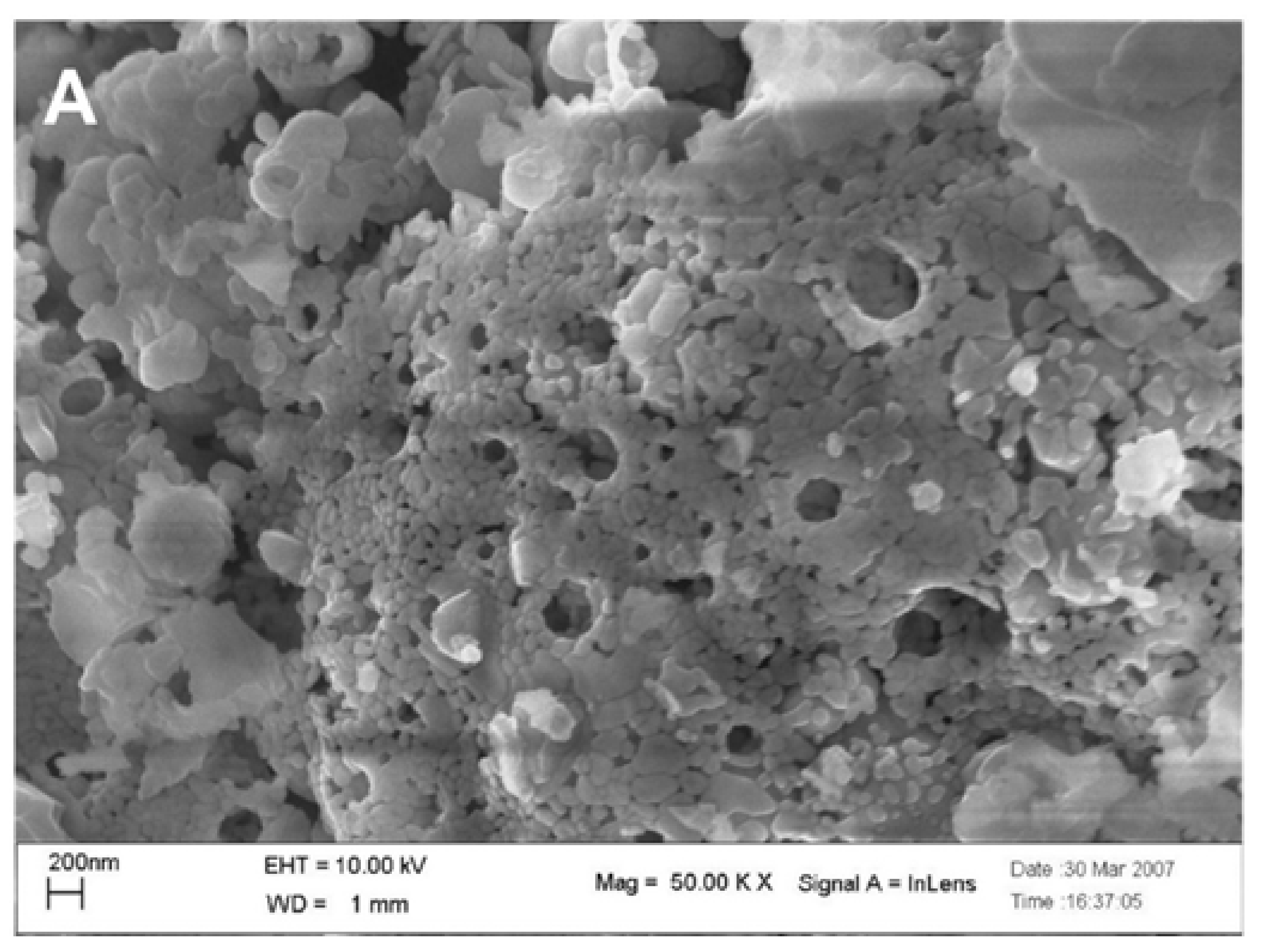 Nanomaterials 12 01042 g008