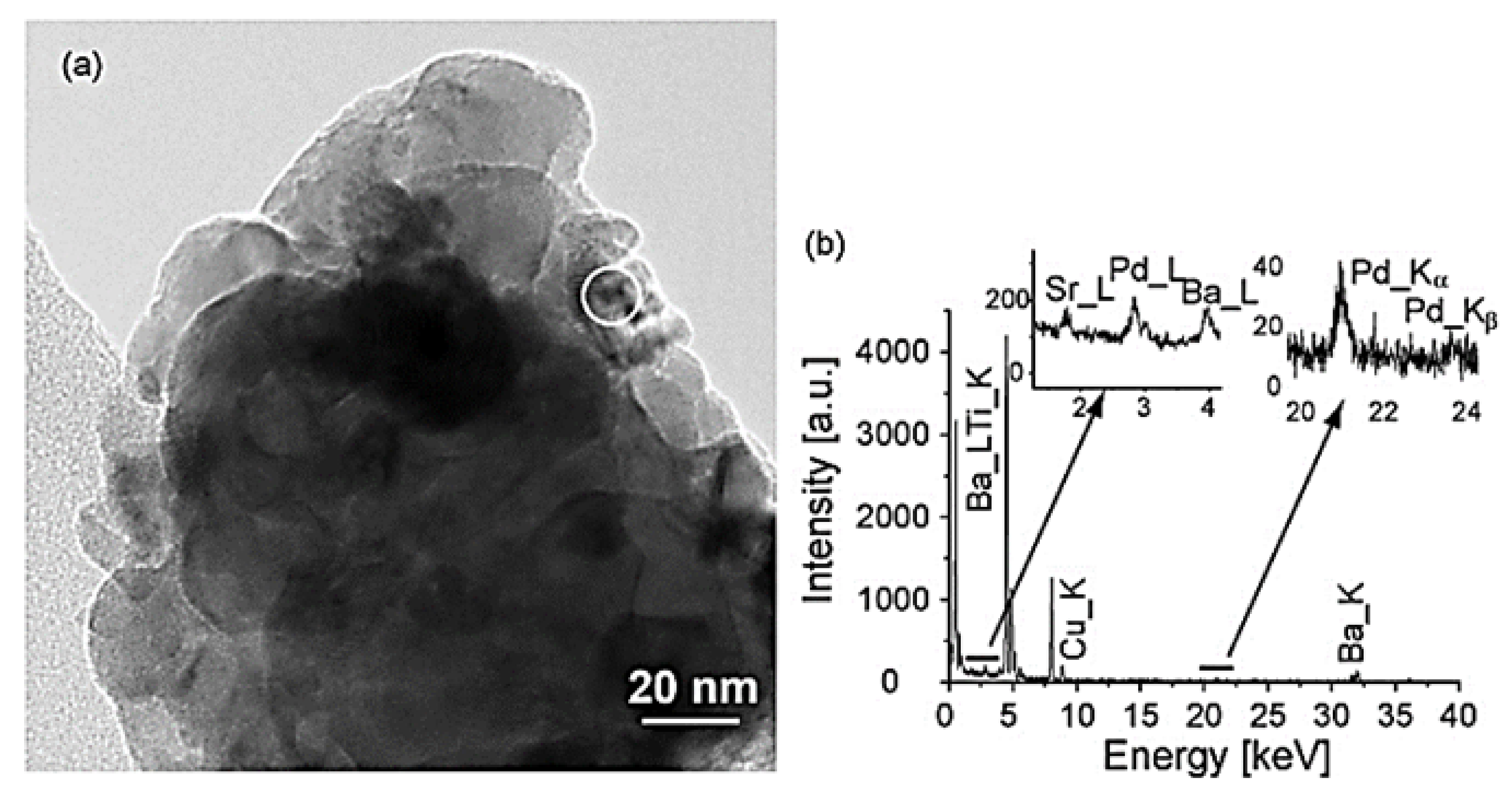 Nanomaterials 12 01042 g012
