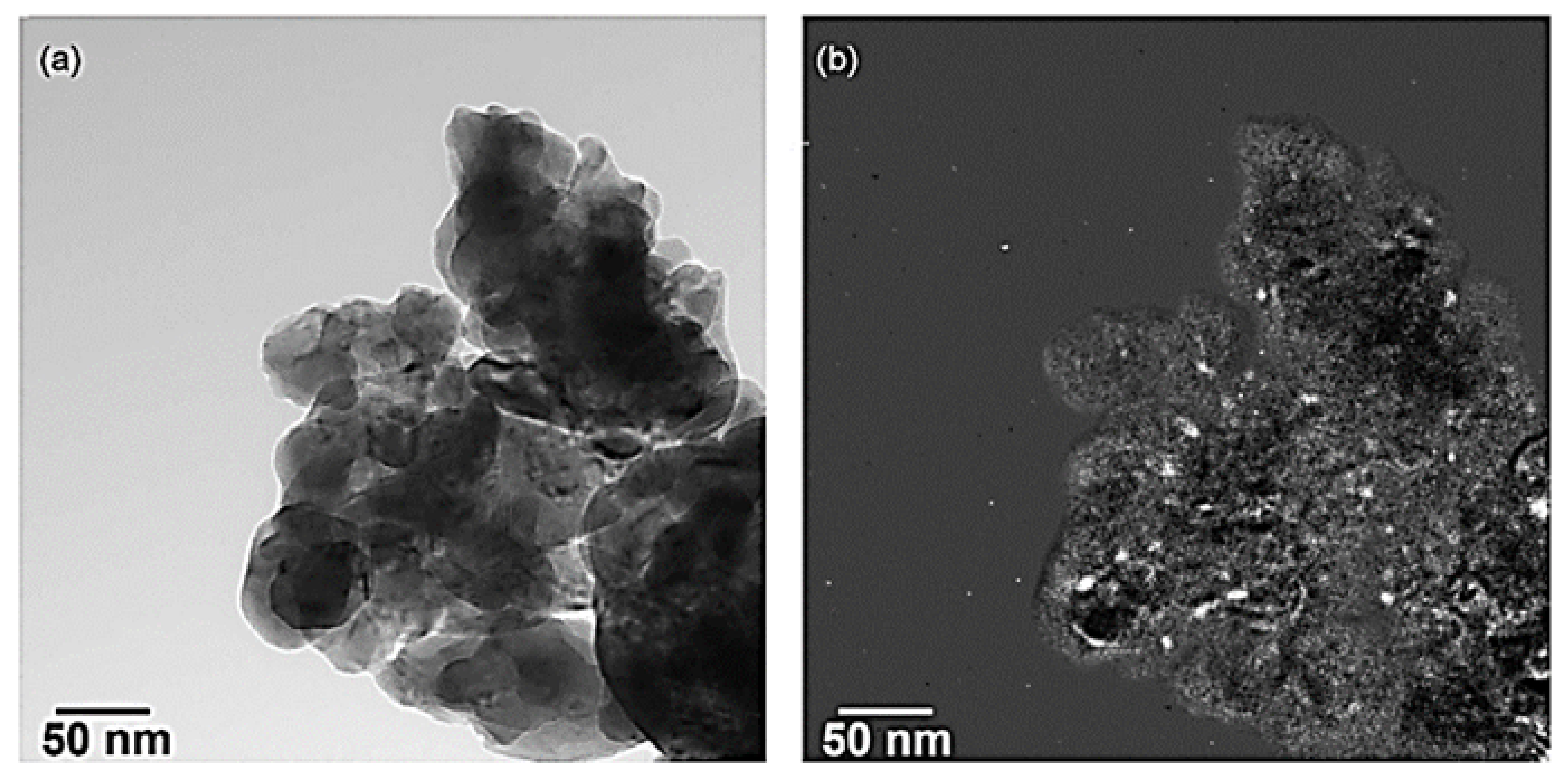 Nanomaterials 12 01042 g013