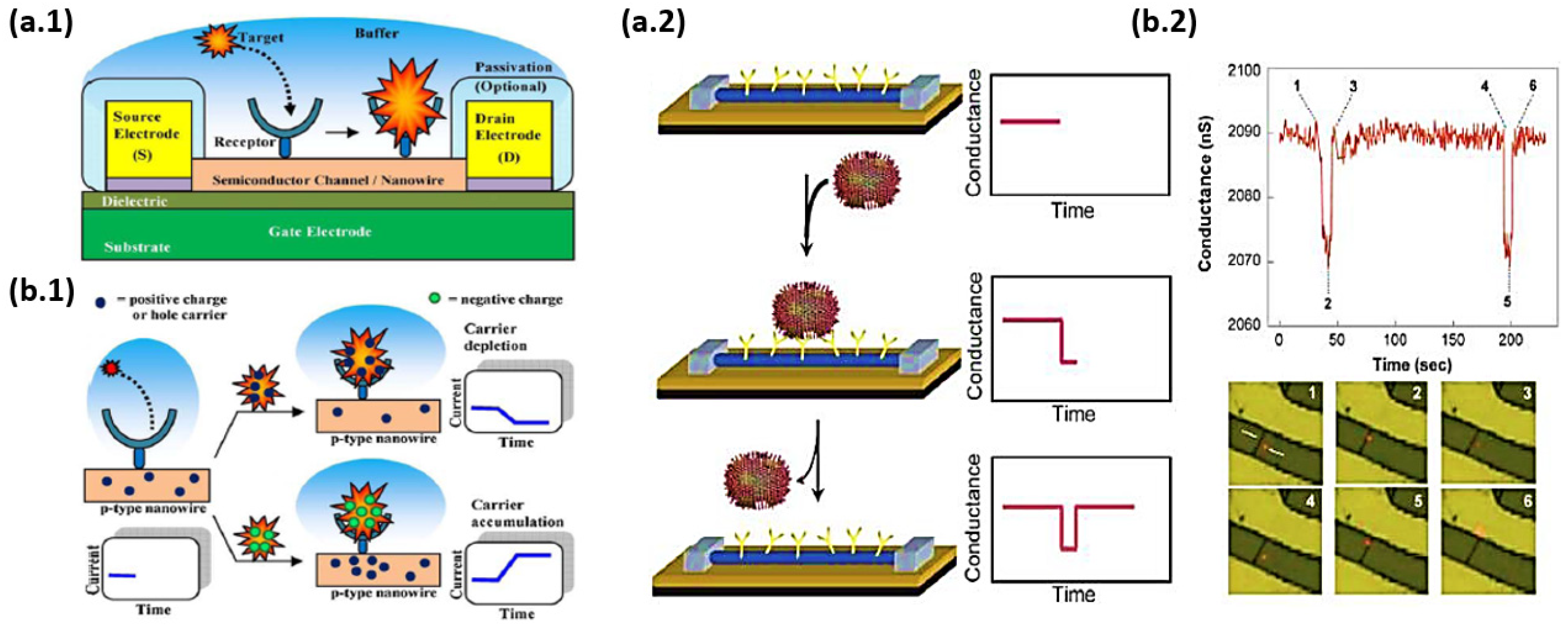 Nanomaterials 12 01043 g044 Nanomaterials 12 01043 g044