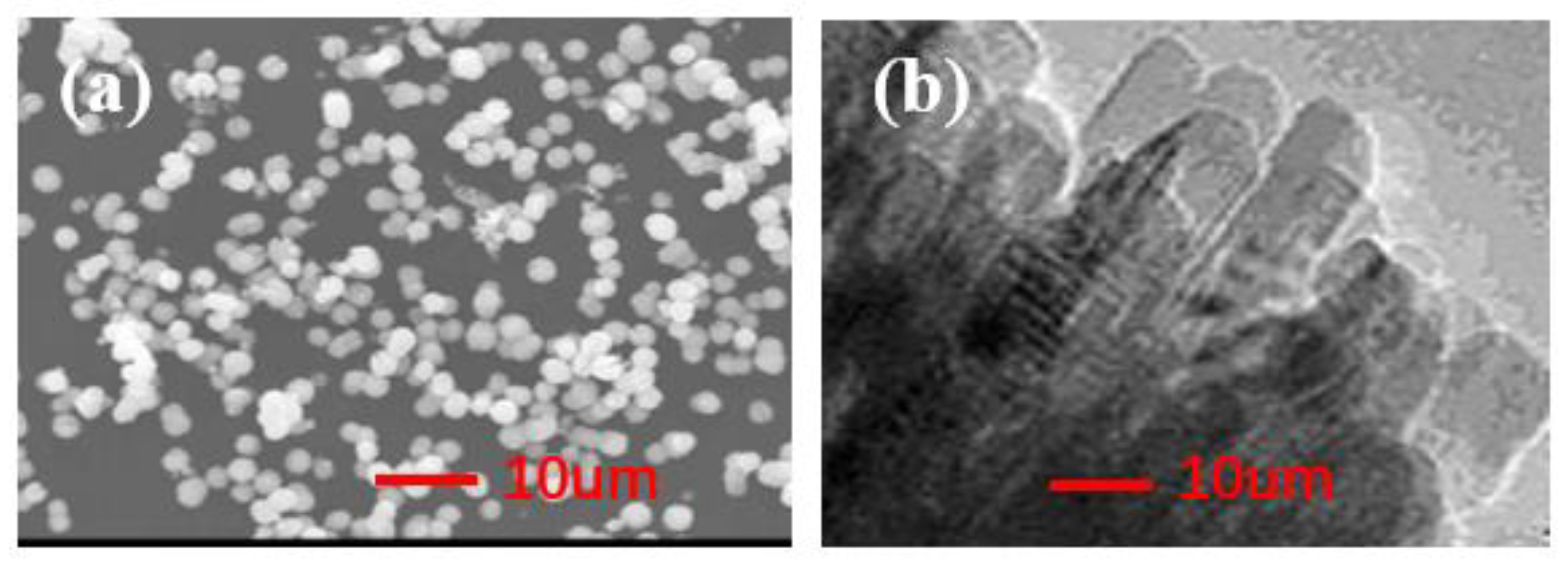 Nanomaterials 12 01047 g001 550