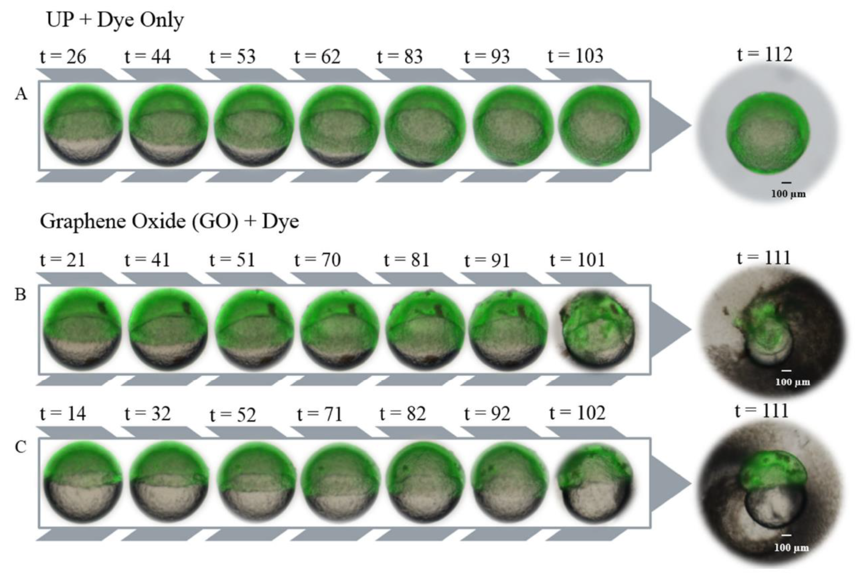 Nanomaterials 12 01050 g007 Nanomaterials 12 01050 g007