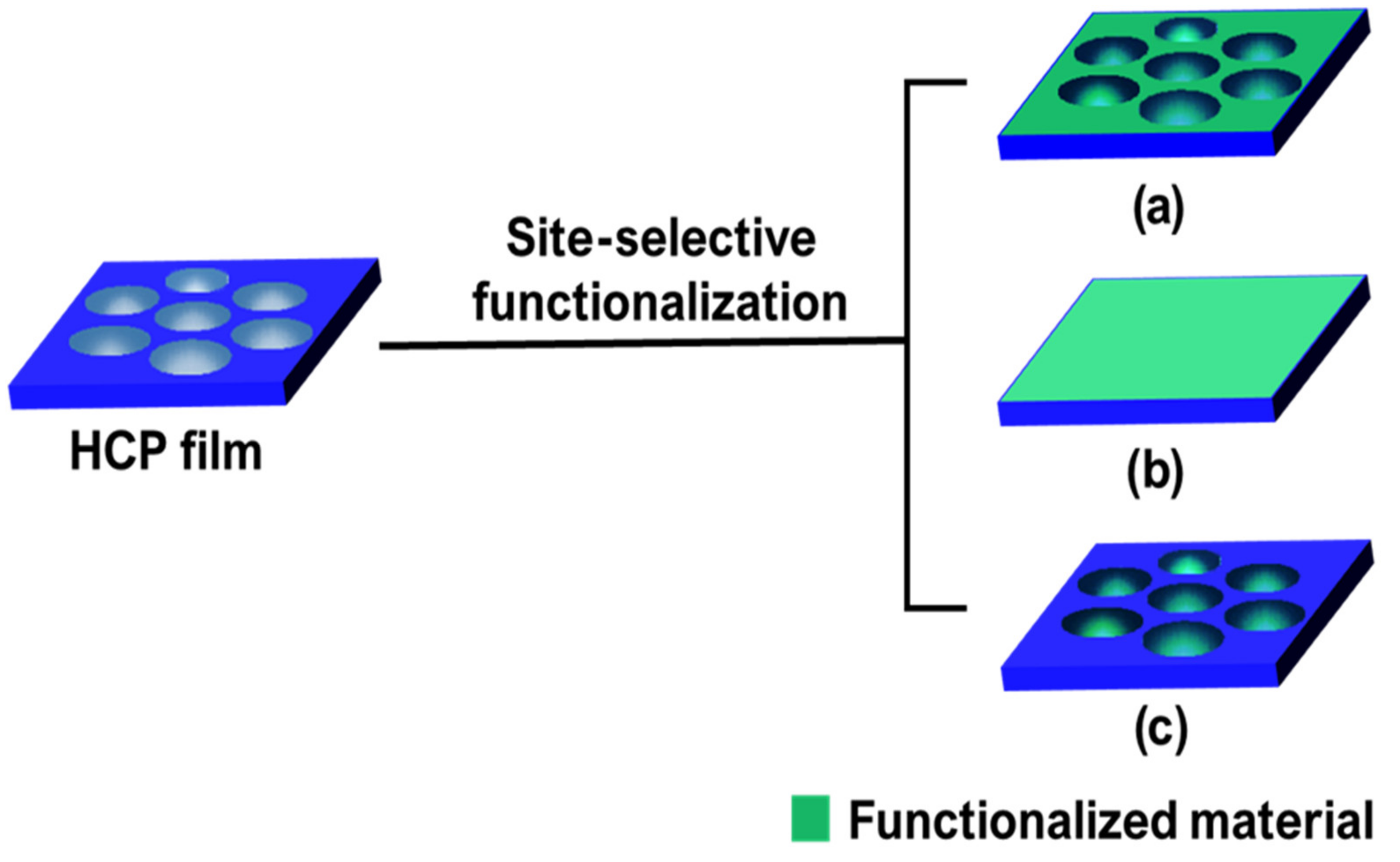 Nanomaterials 12 01055 g002 550