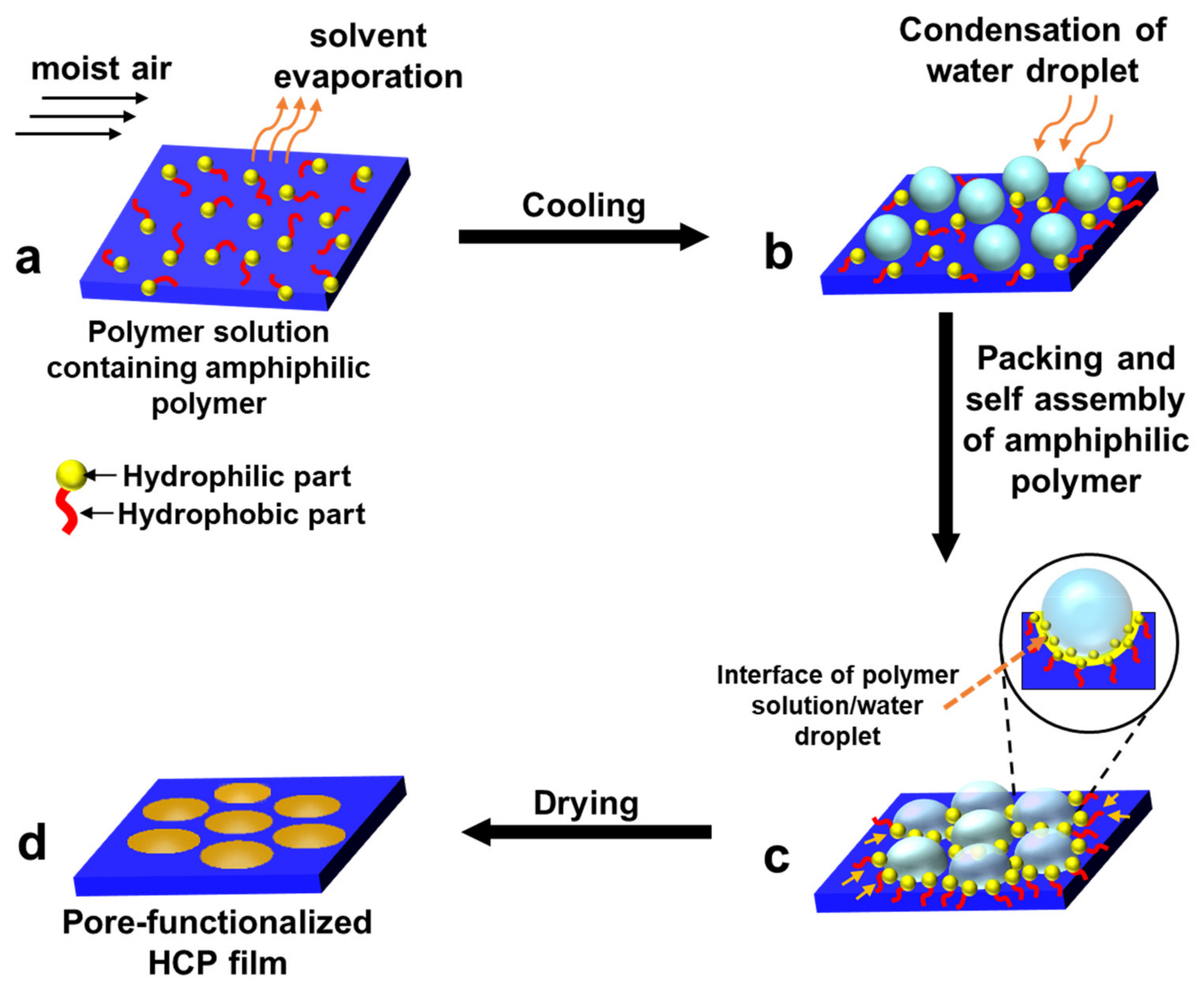 Nanomaterials 12 01055 g003 550