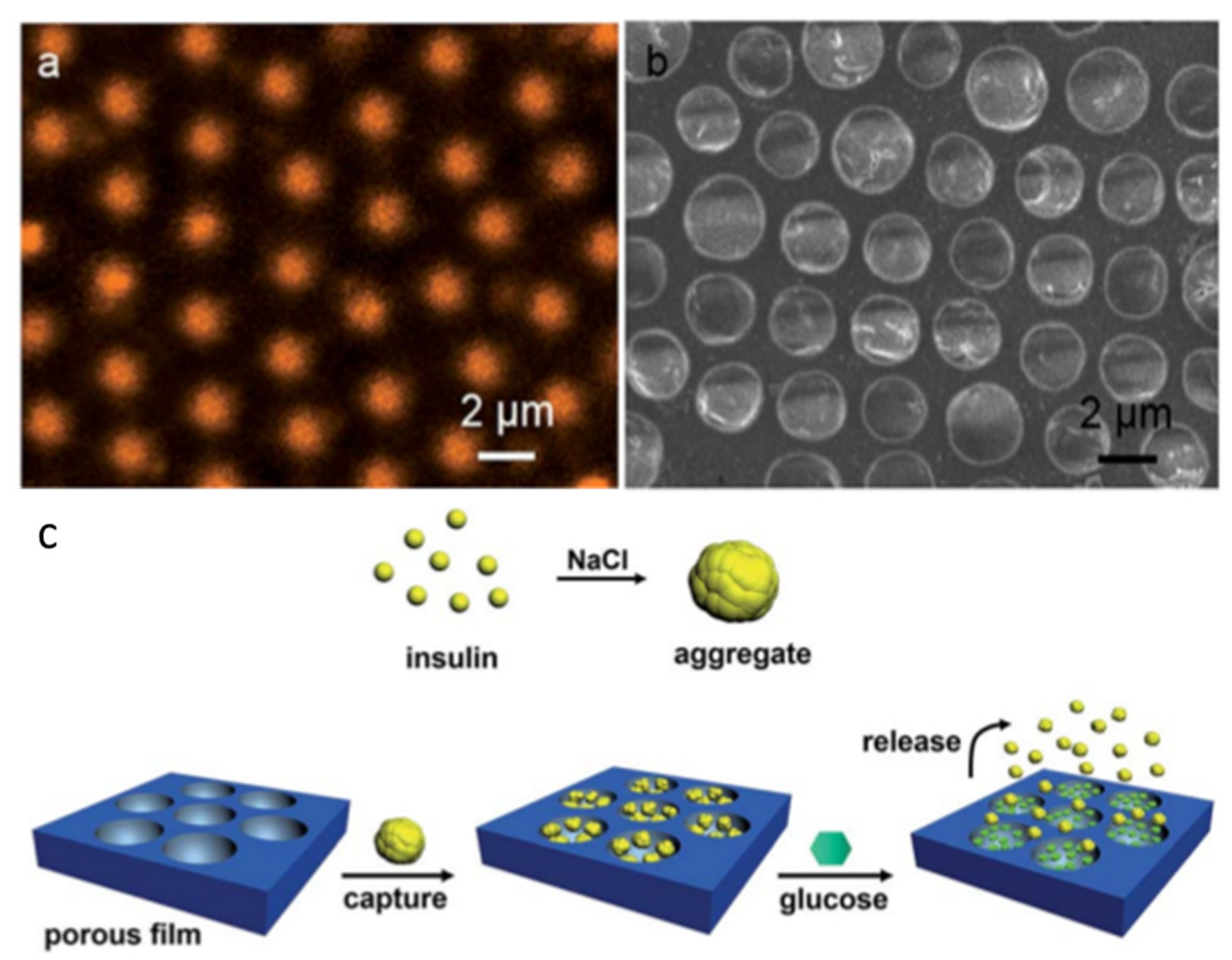 Nanomaterials 12 01055 g006 550