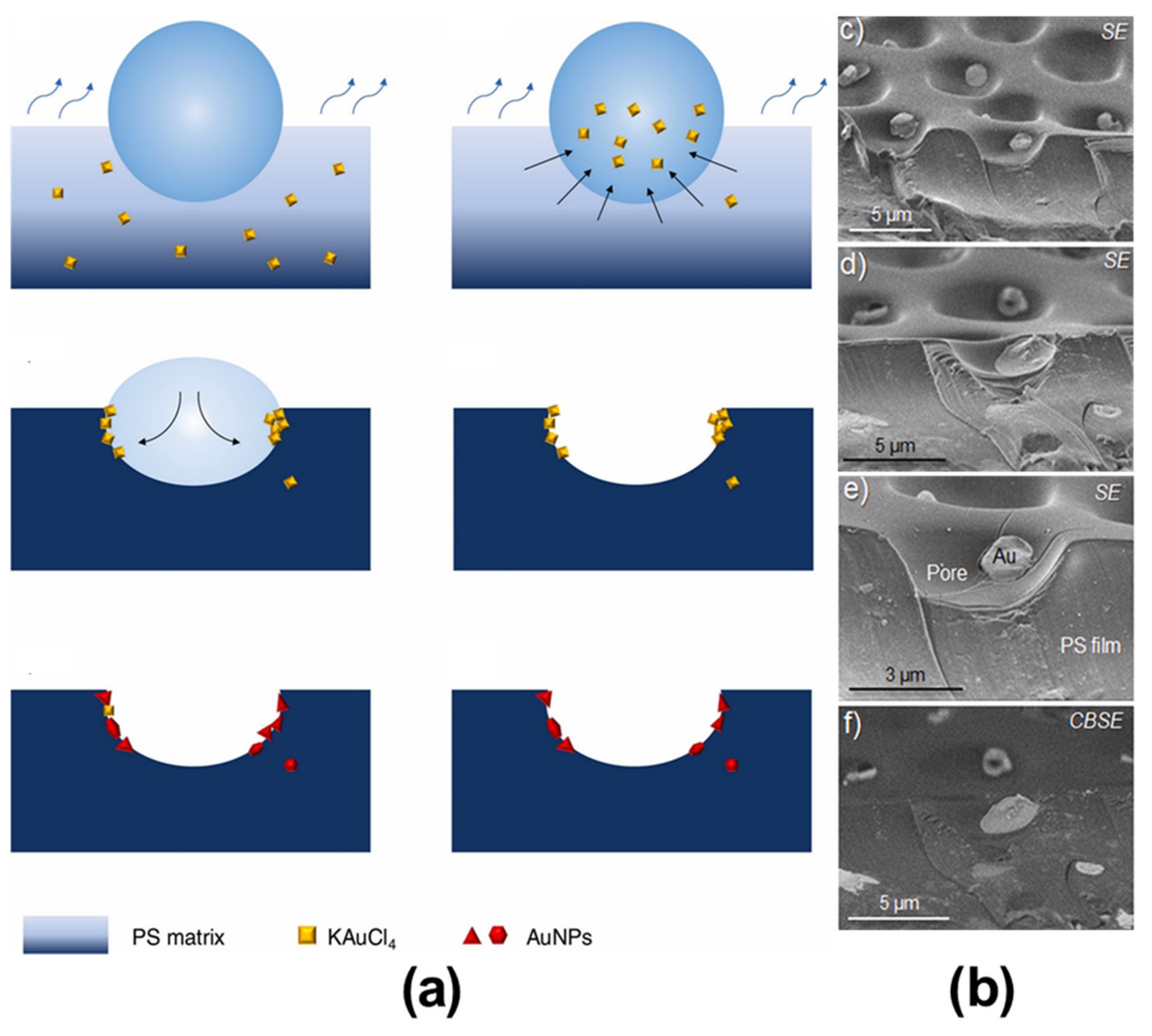 Nanomaterials 12 01055 g010 550
