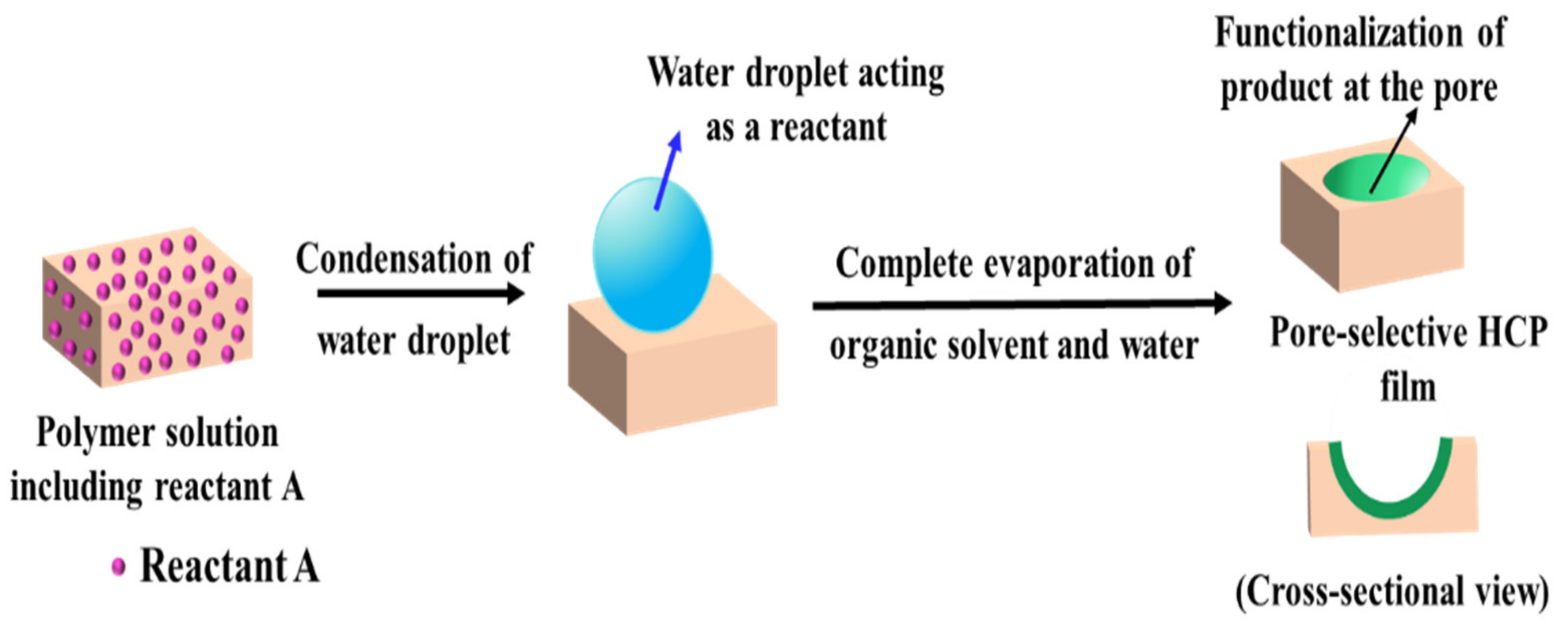 Nanomaterials 12 01055 g012 550