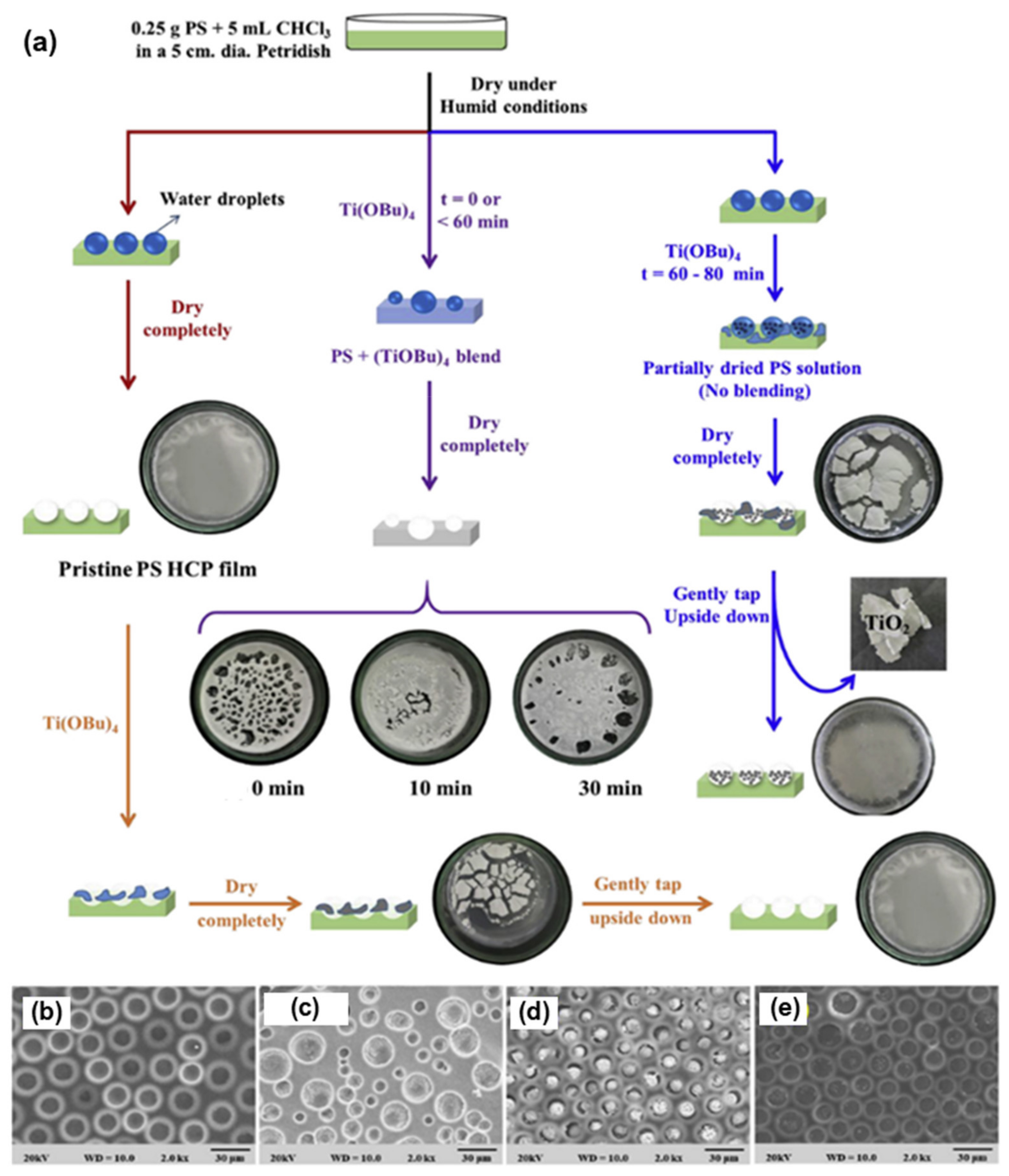 Nanomaterials 12 01055 g014 550