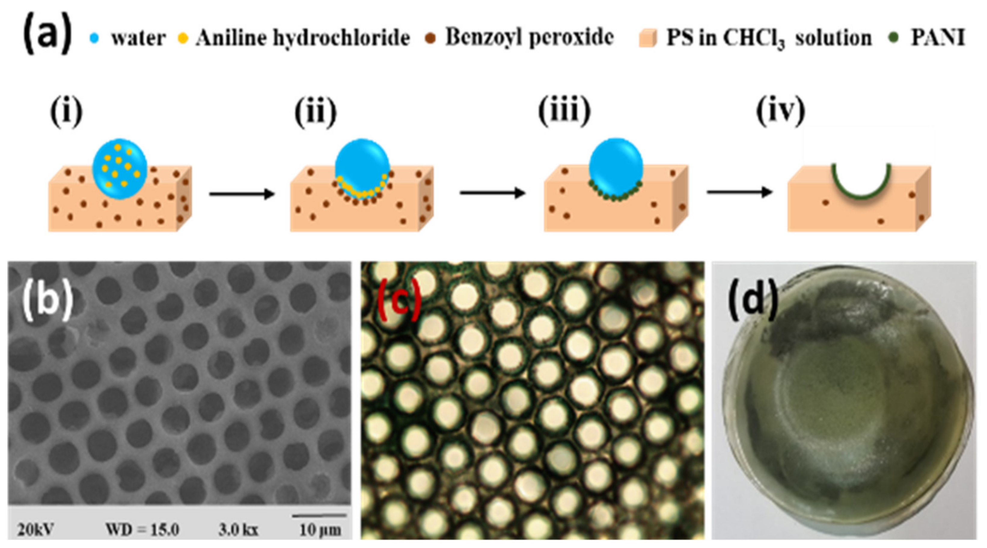 Nanomaterials 12 01055 g016 550