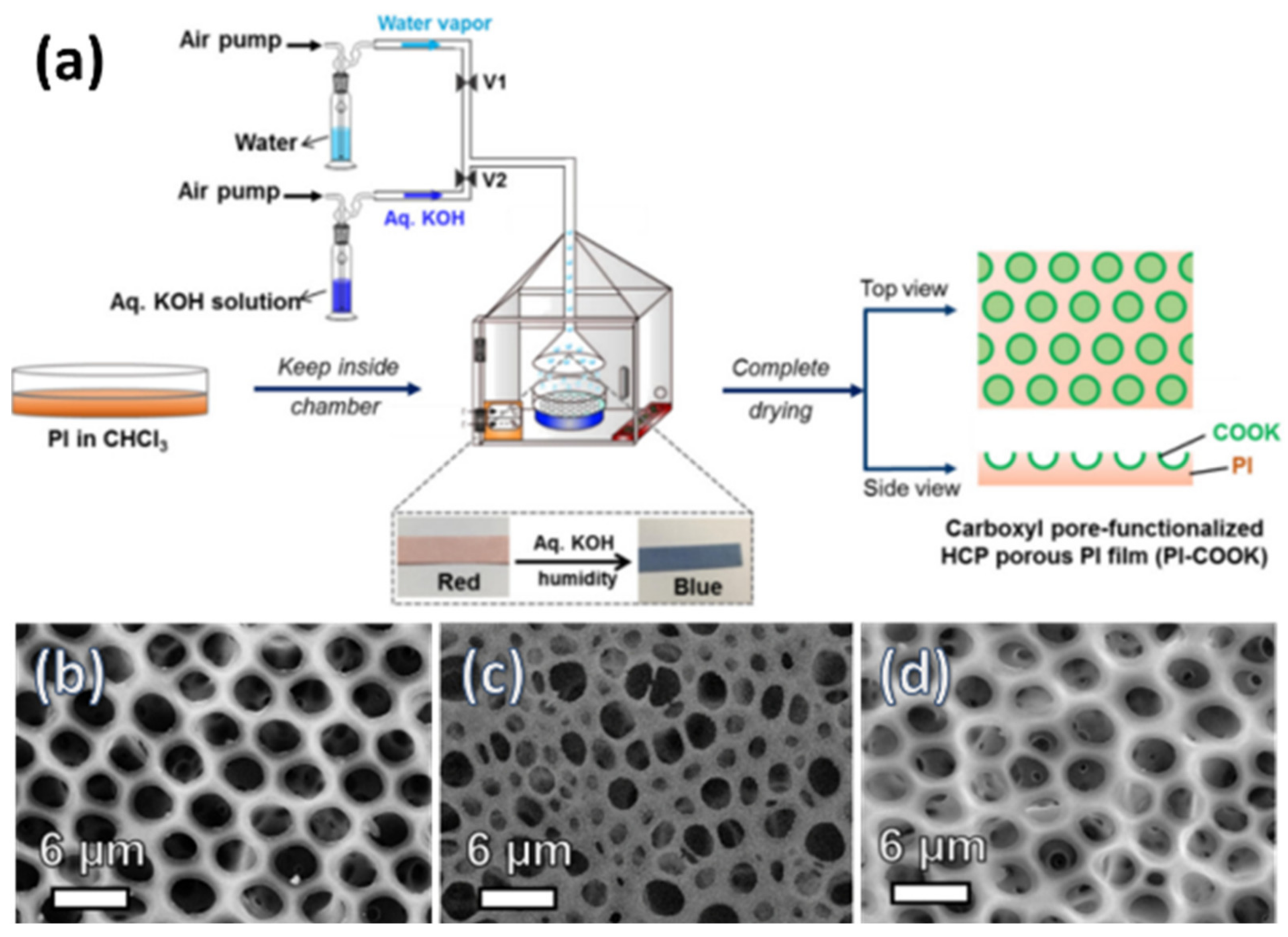 Nanomaterials 12 01055 g017 550
