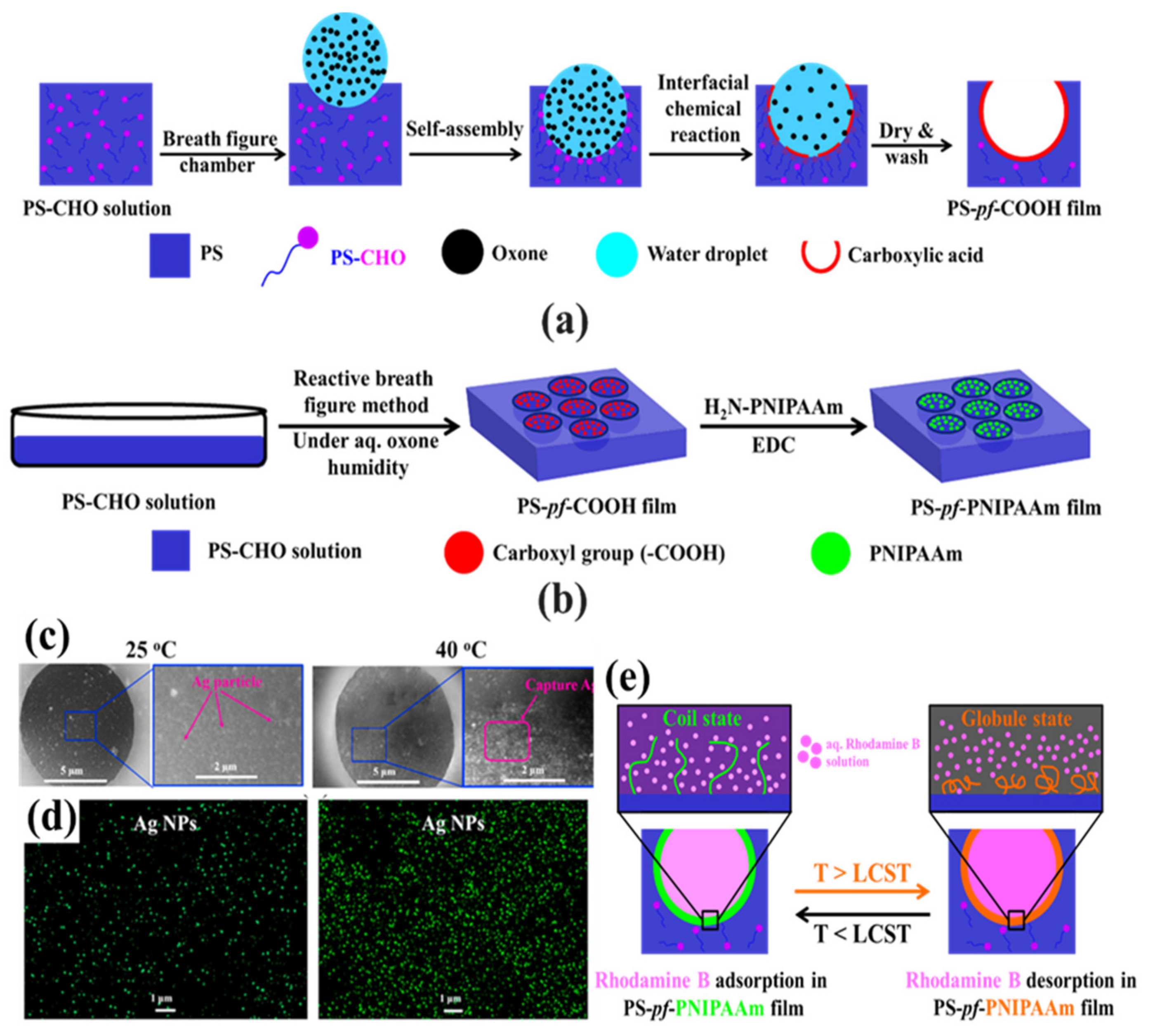 Nanomaterials 12 01055 g019 550