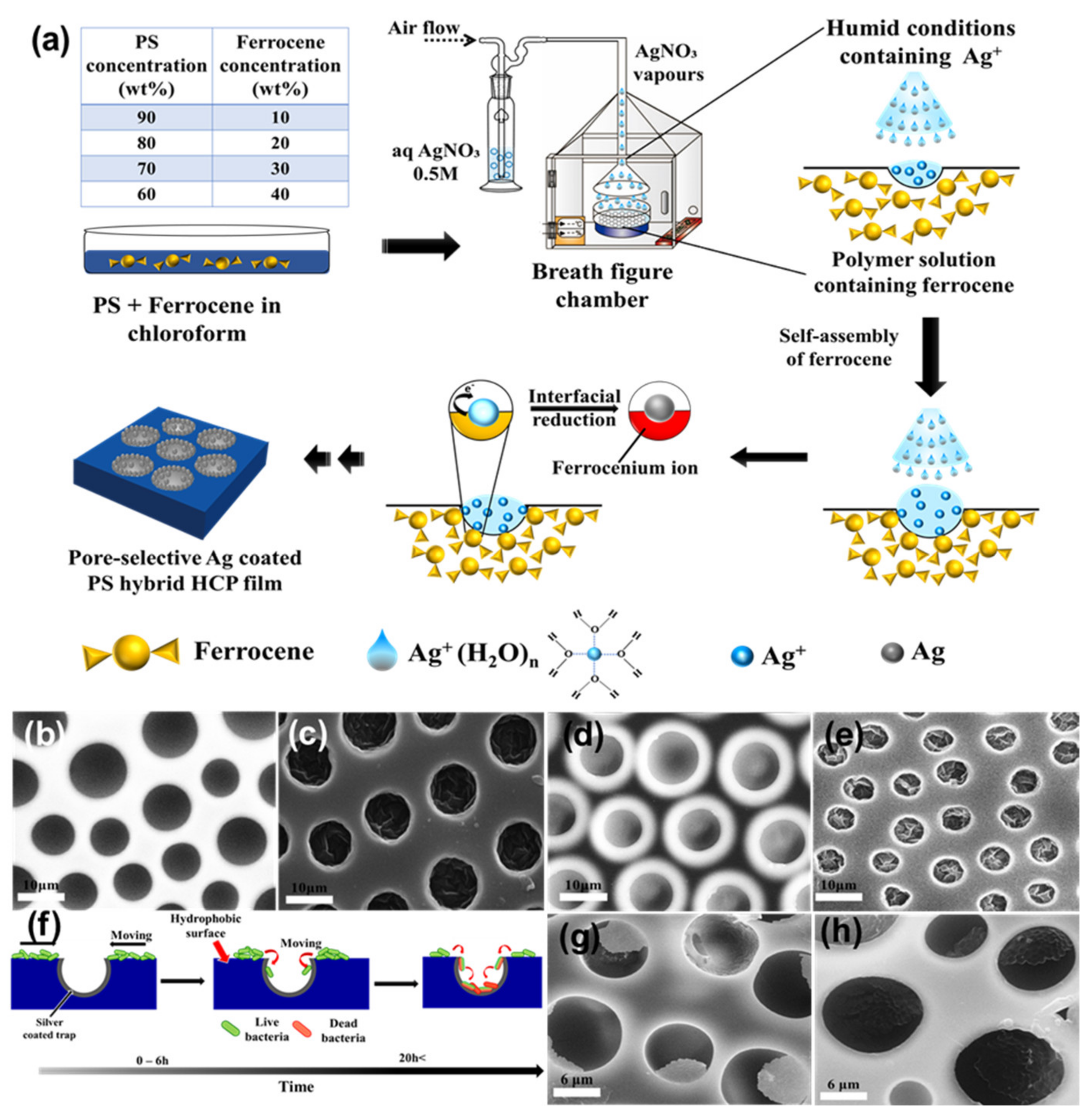 Nanomaterials 12 01055 g020 550