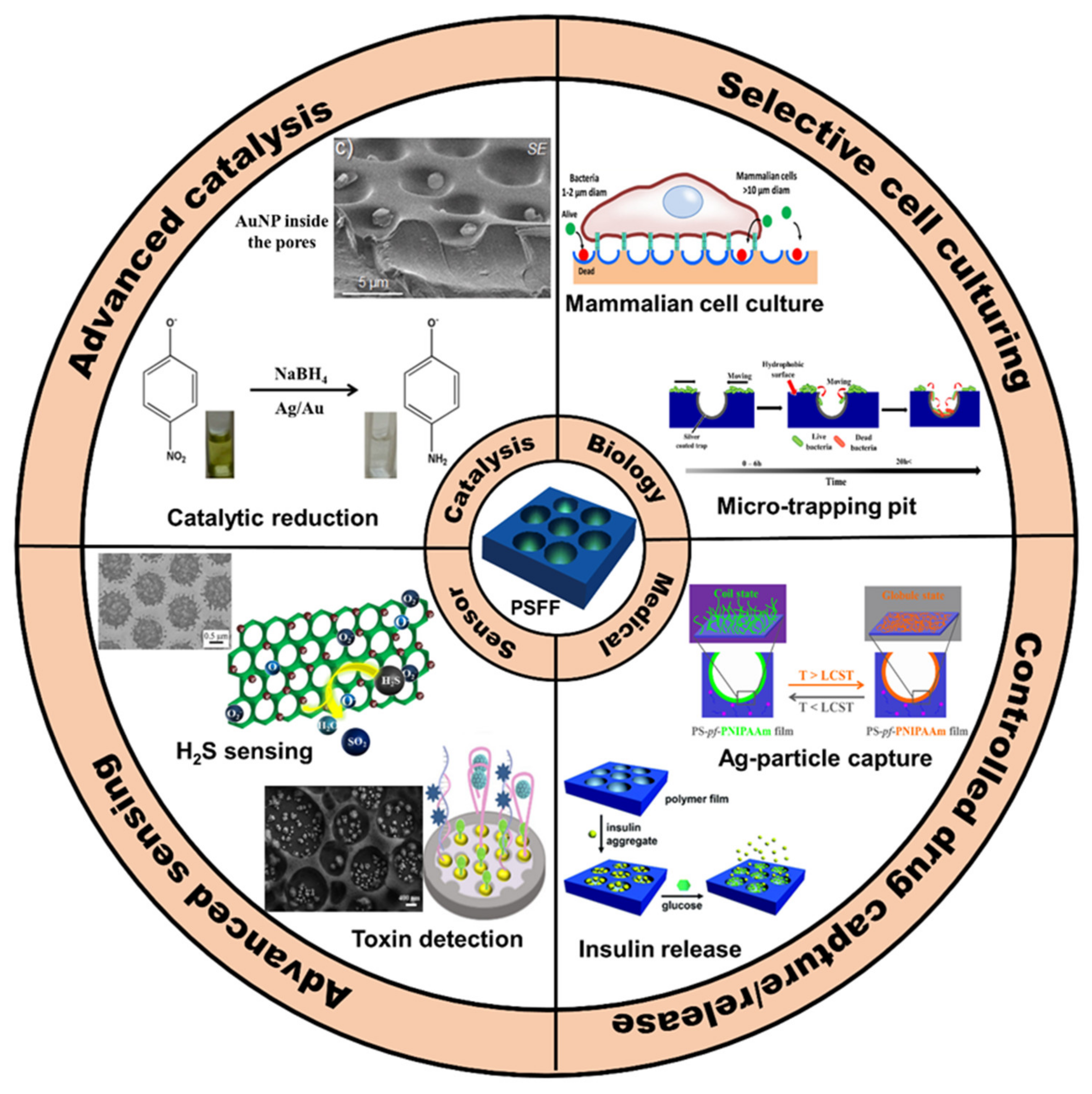 Nanomaterials 12 01055 g021 550