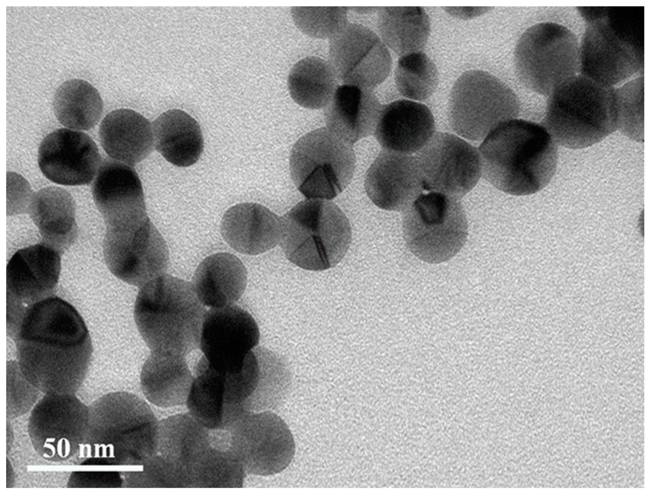 Nanomaterials 12 01062 g006 550