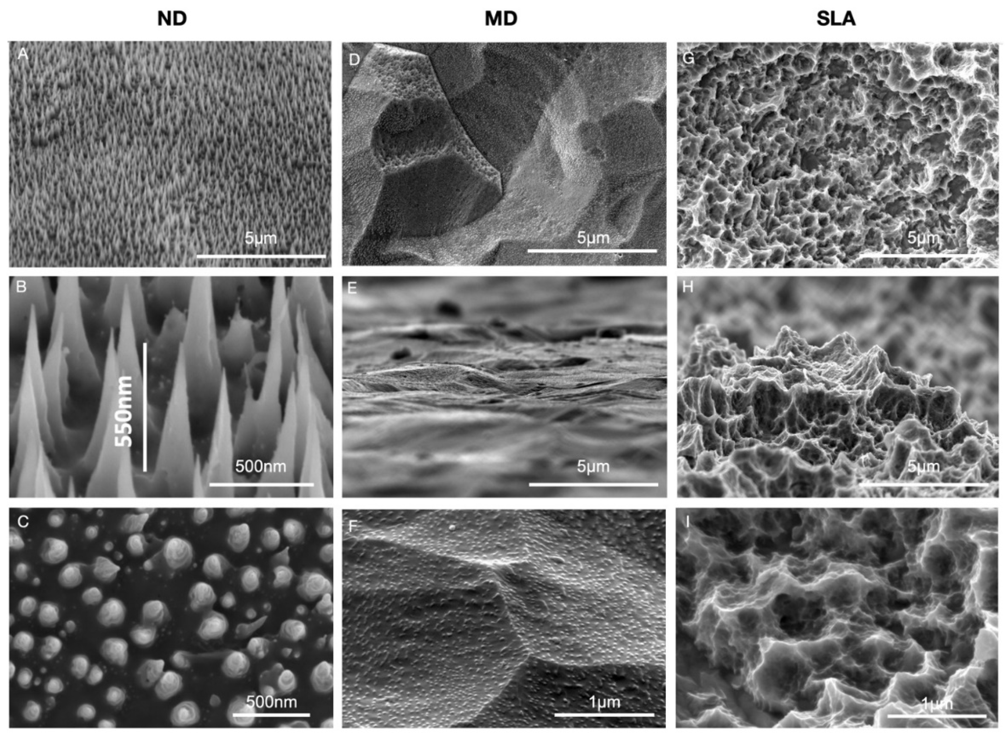Nanomaterials 12 01065 g001 550