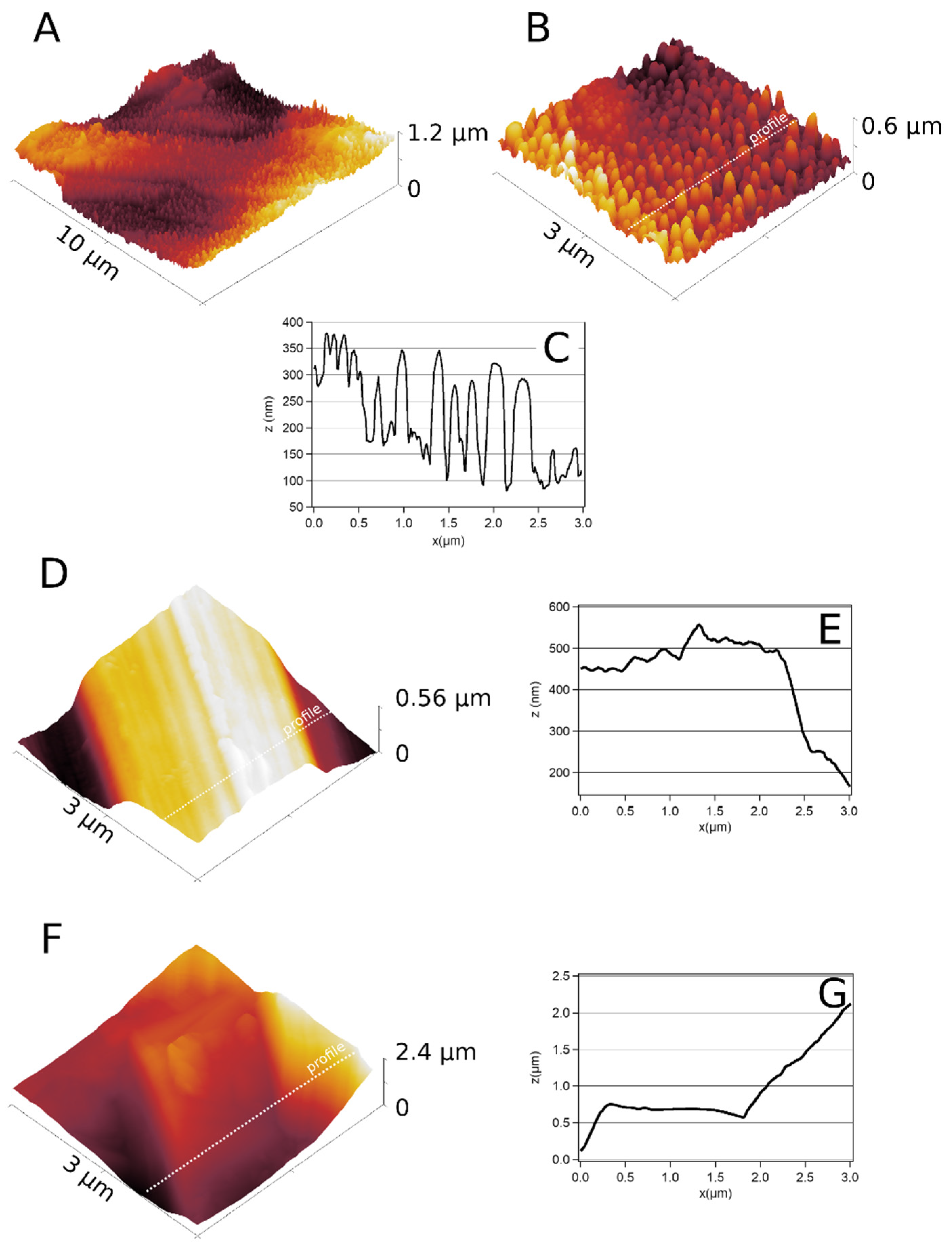 Nanomaterials 12 01065 g002 550