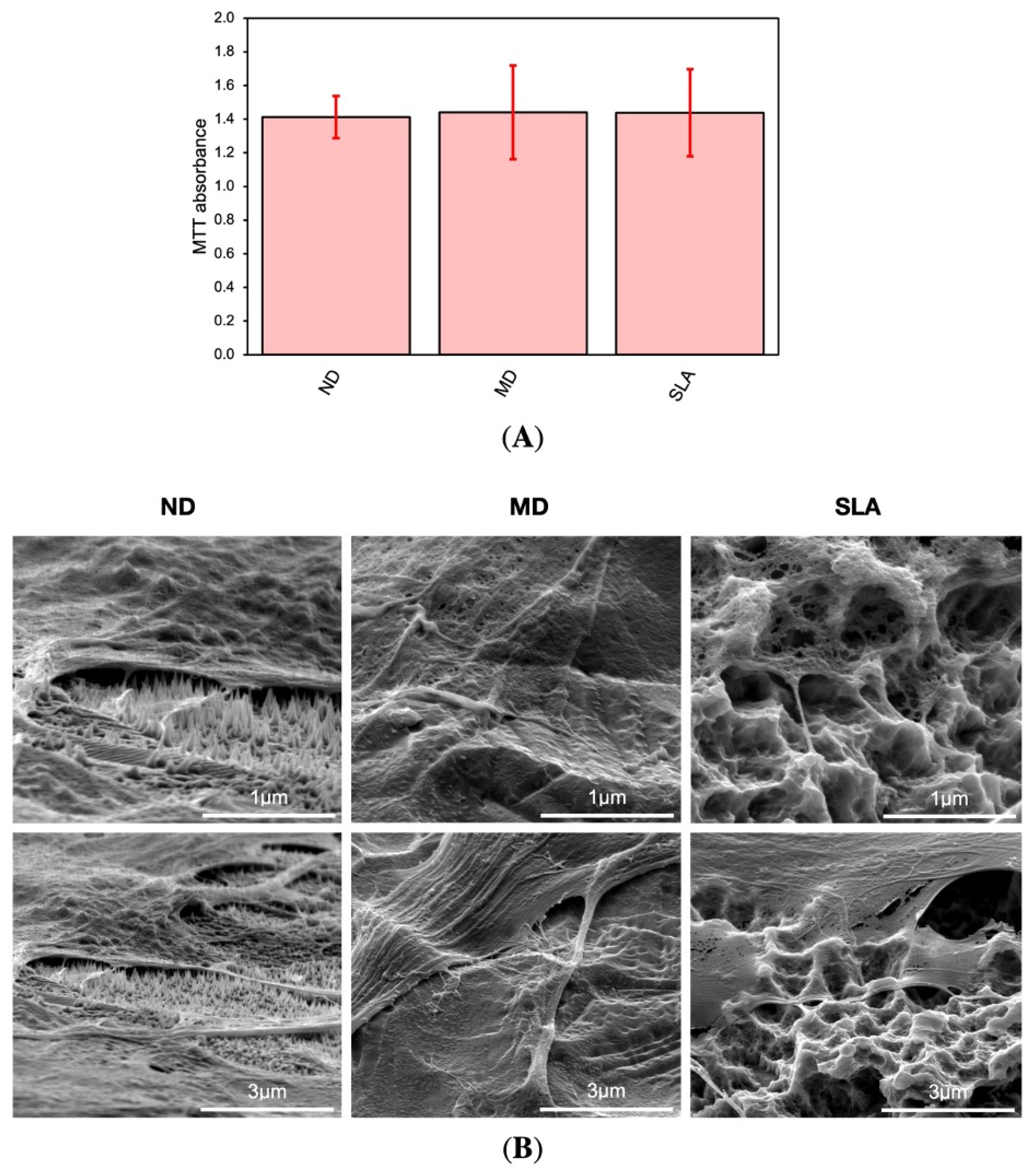 Nanomaterials 12 01065 g005 550